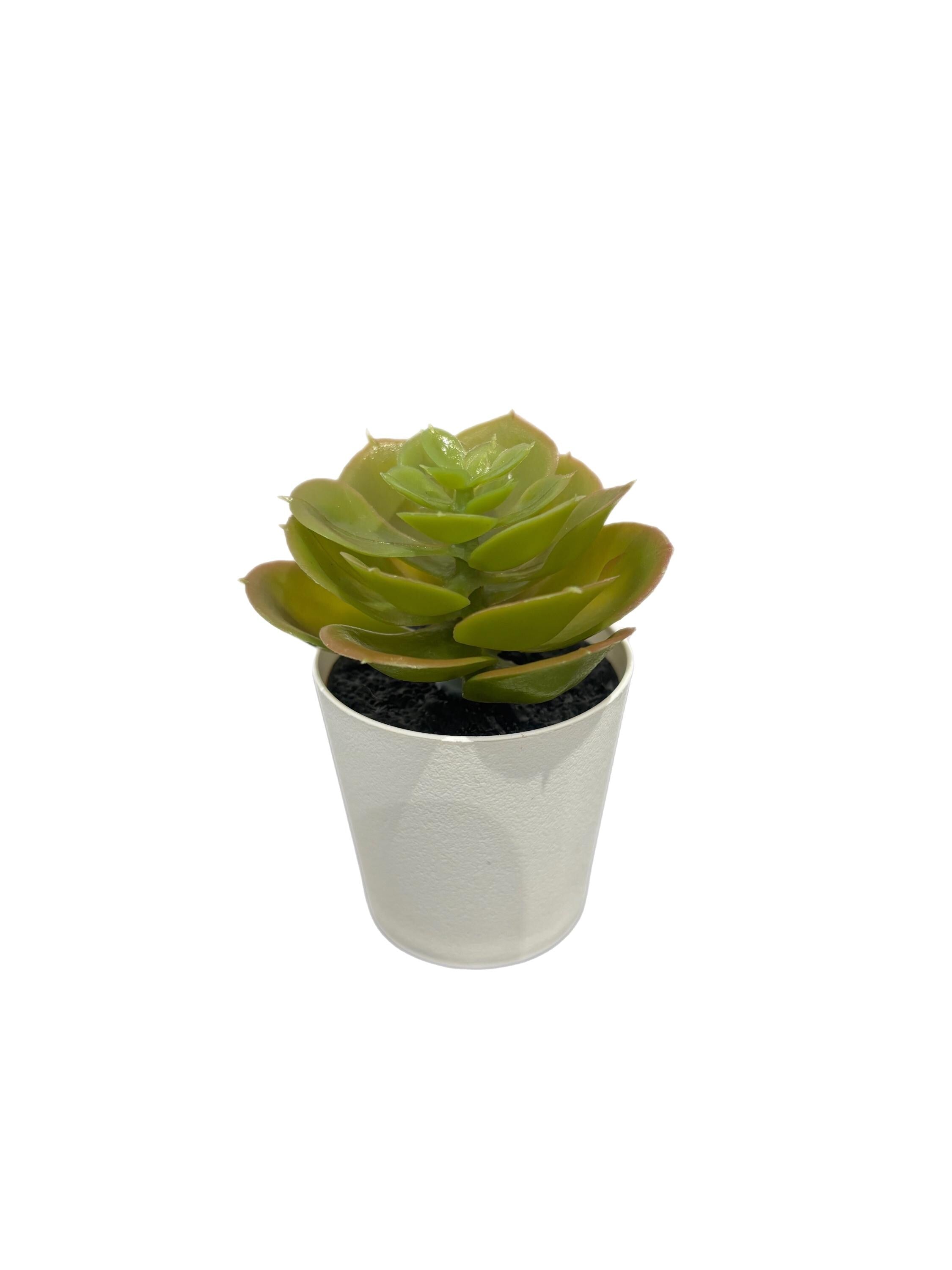 Faux plant - Succulent 4