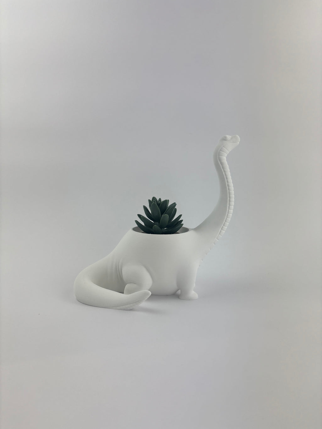 Paint your own - DINO PLANTER