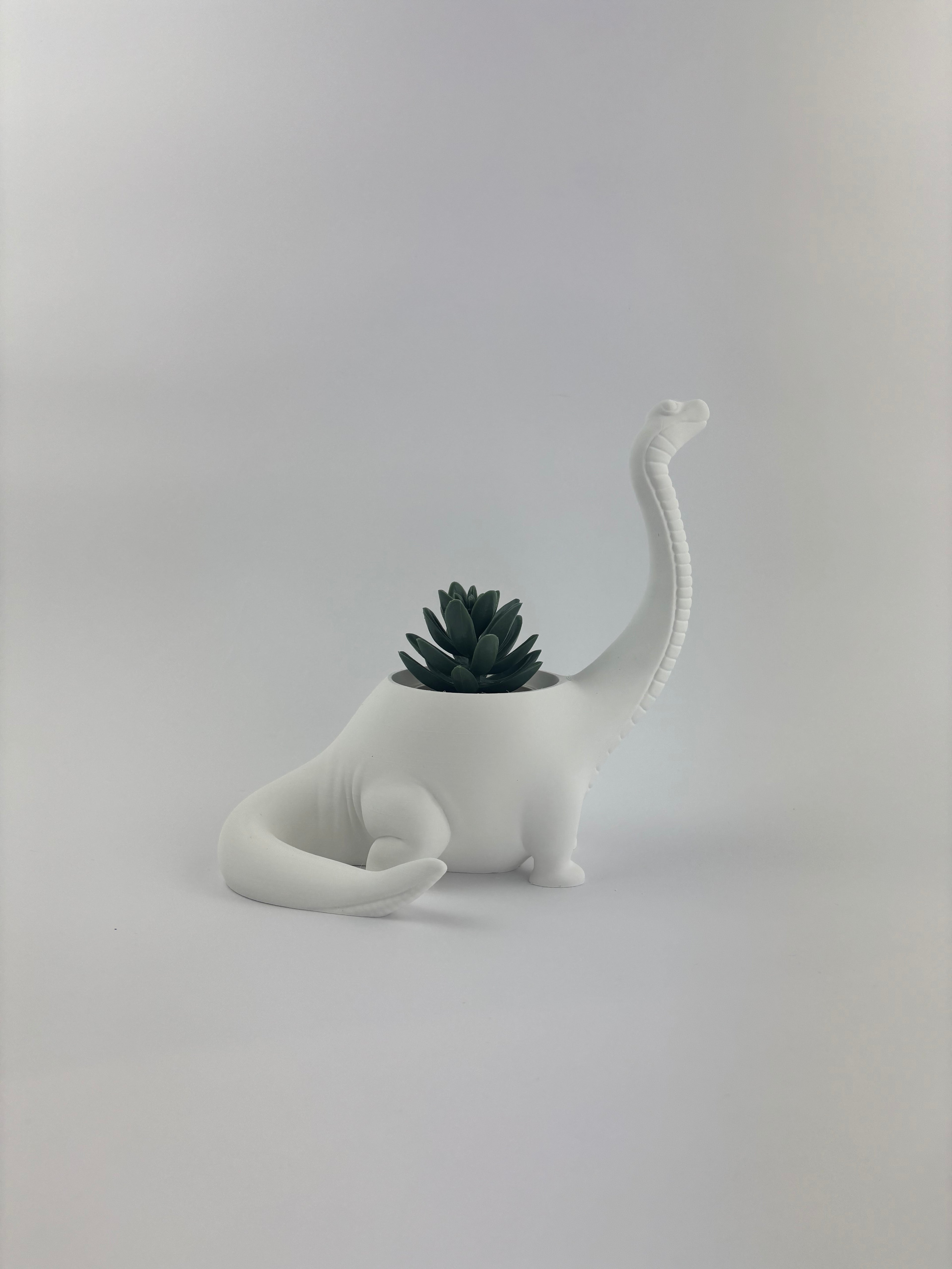 Paint your own - DINO PLANTER