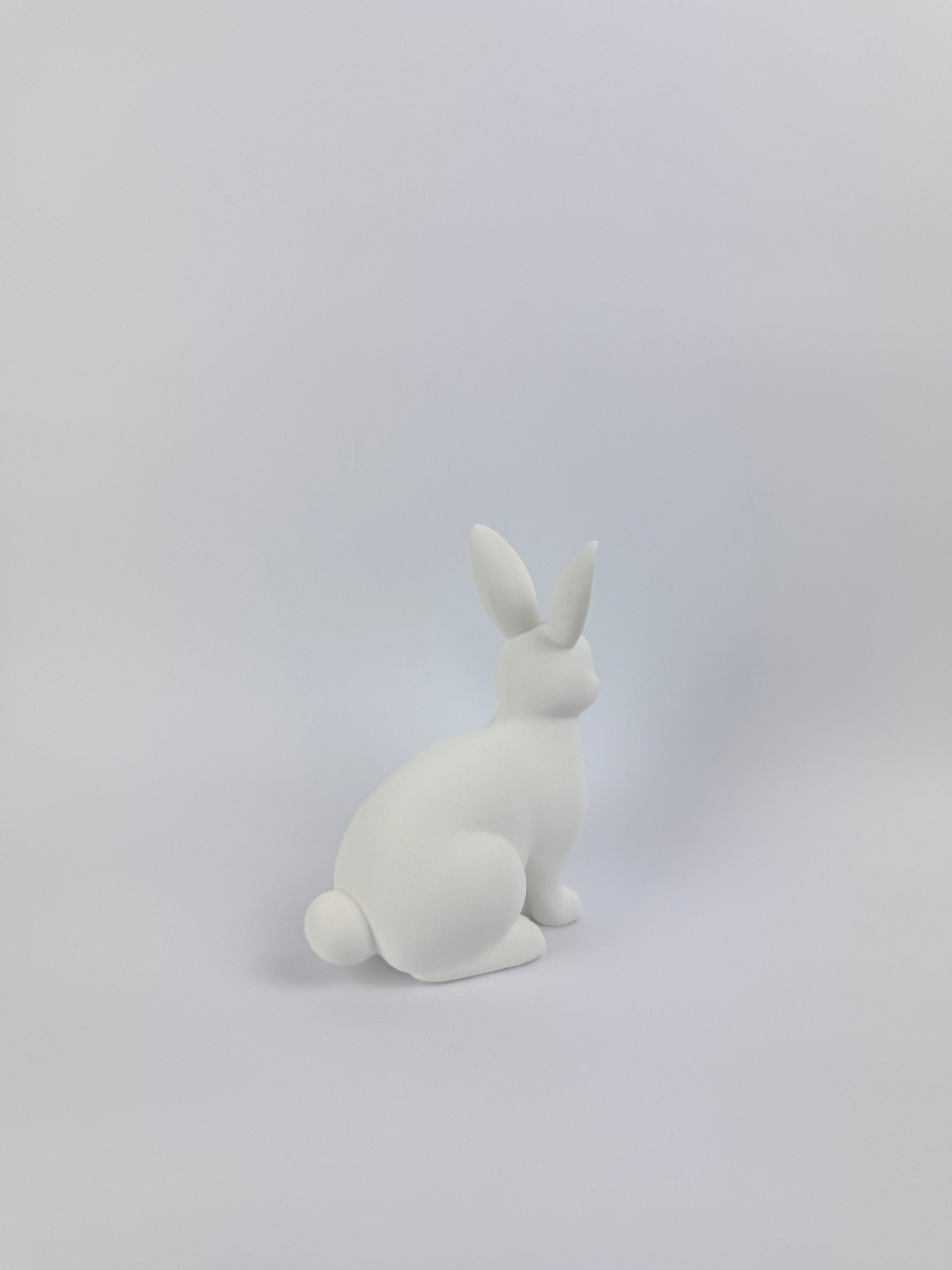 Paint your own - Rabbit