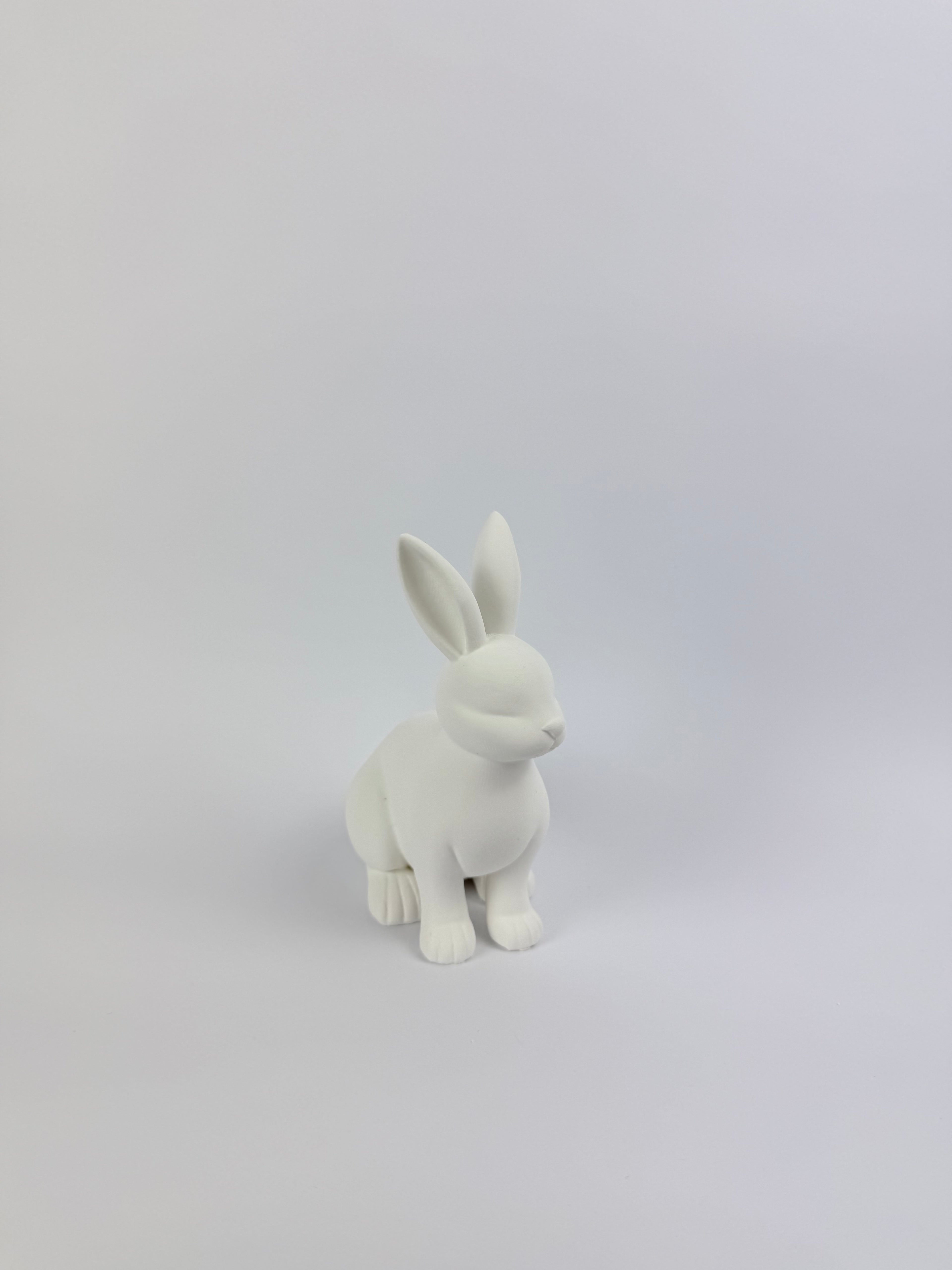 Paint your own - Rabbit