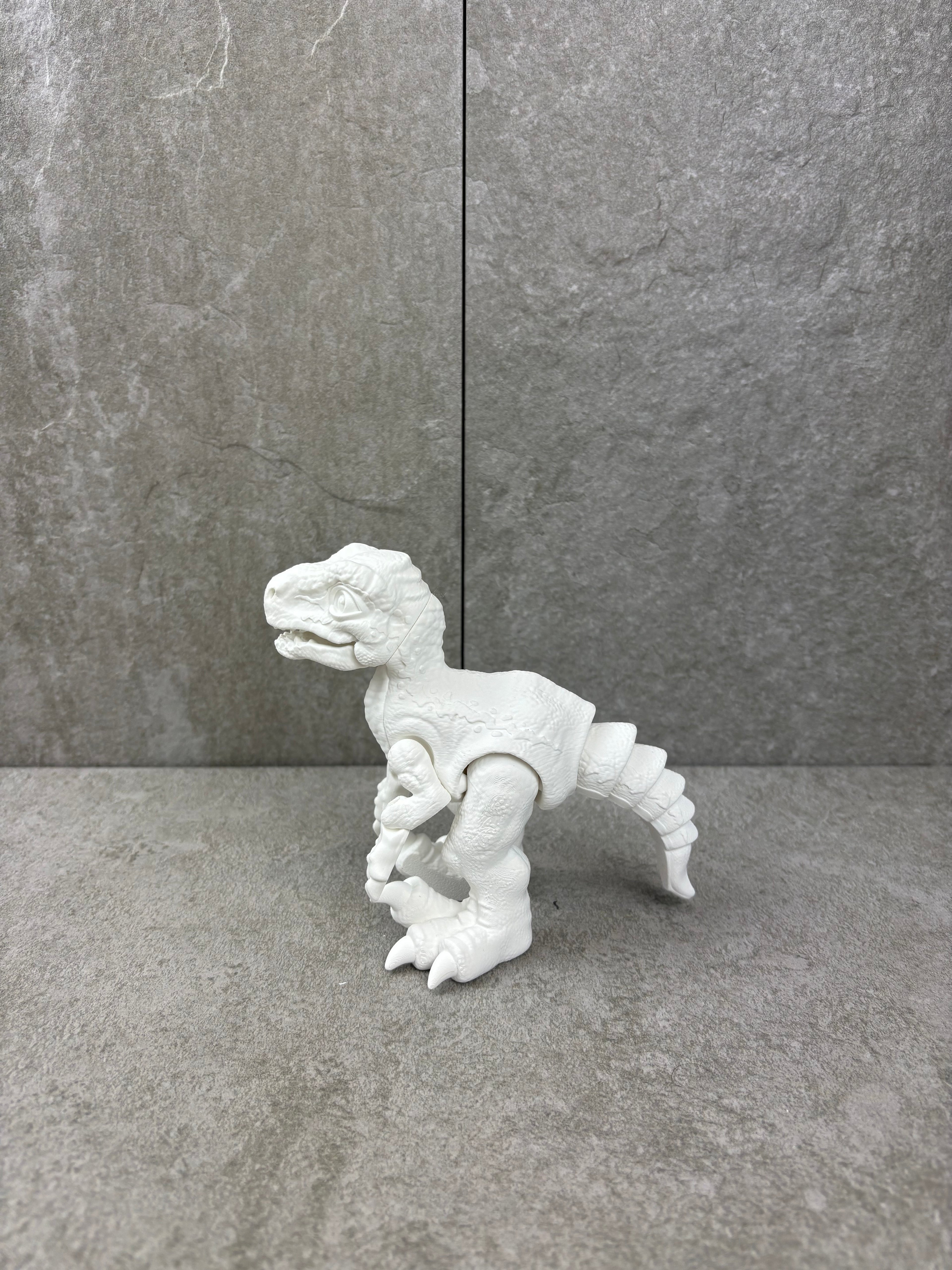 Paint your own - RAPTOR