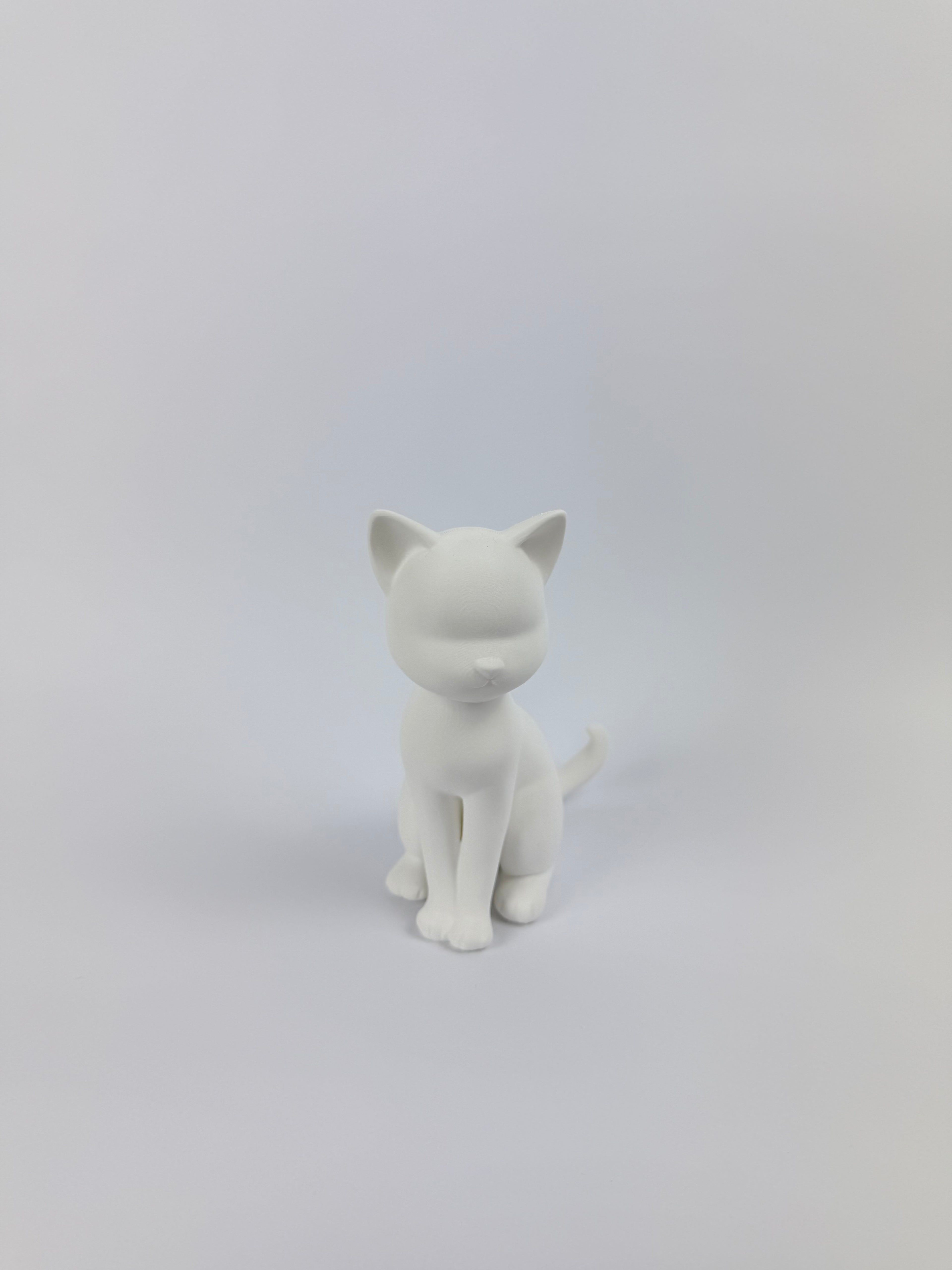 Paint your own - Cat