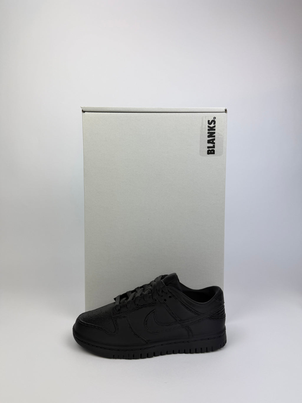 Paint your own - Dunk v2