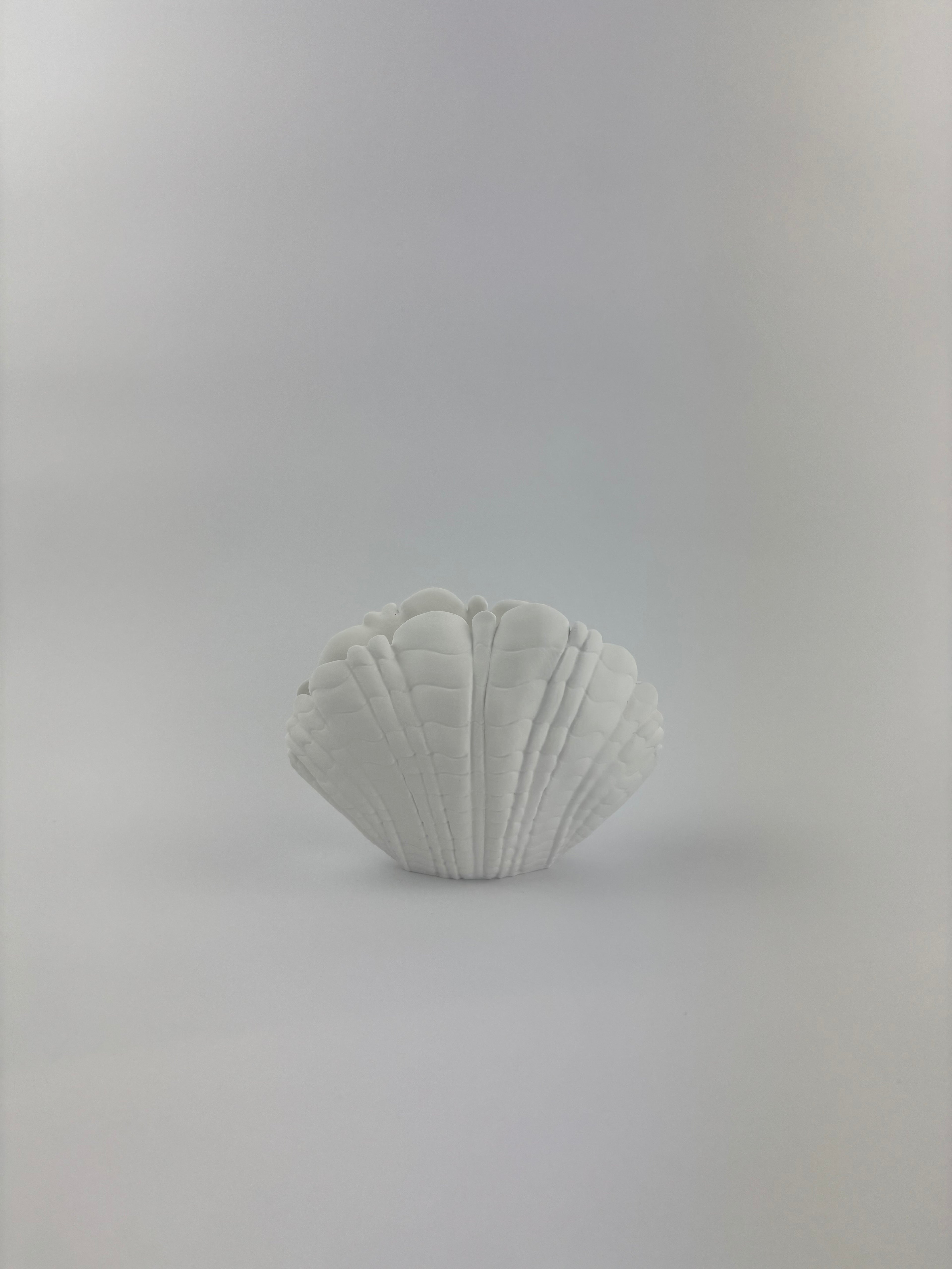 Paint your own - SHELL VASE