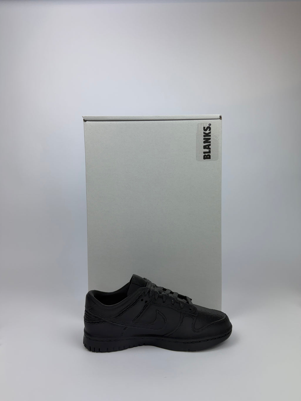 Paint your own - Dunk v2