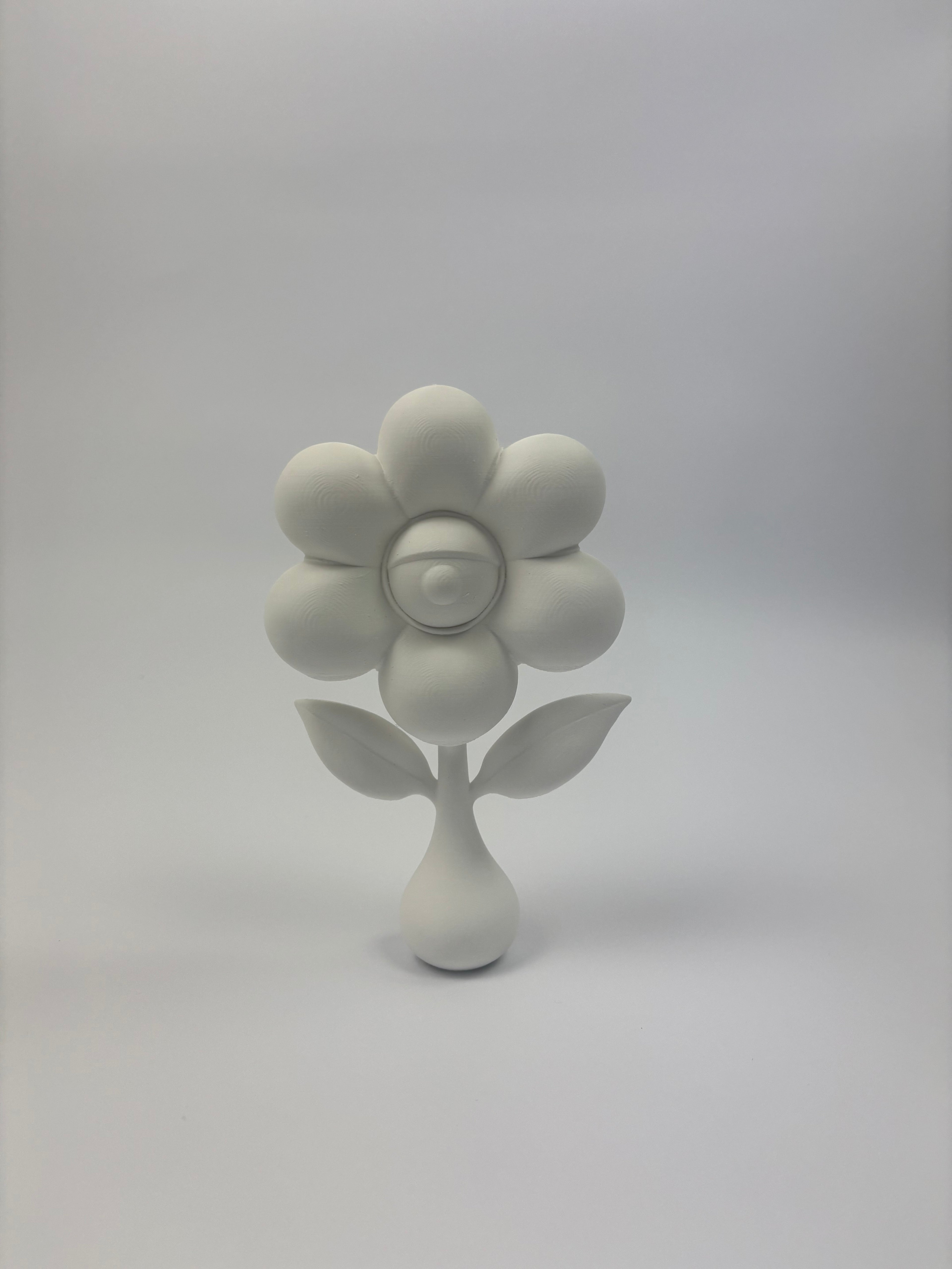 Paint your own - All seeing plant