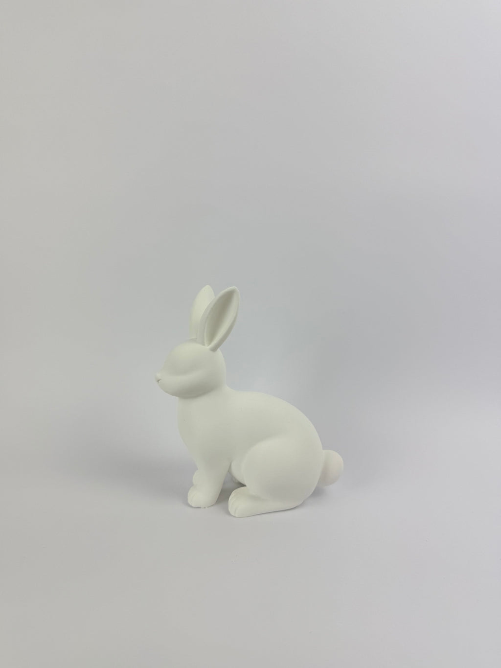 Paint your own - Rabbit