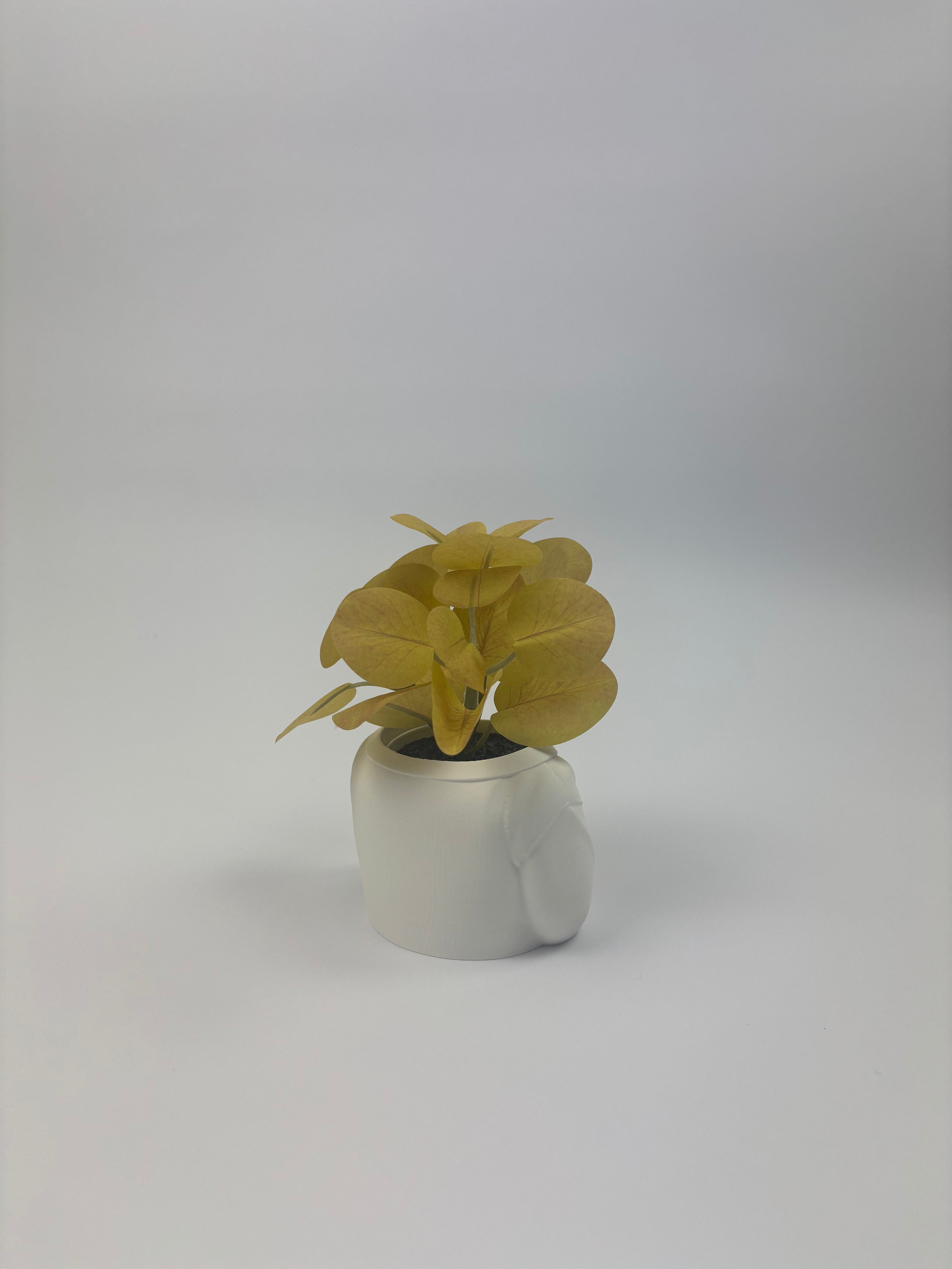 Paint your own - Good vibes planter