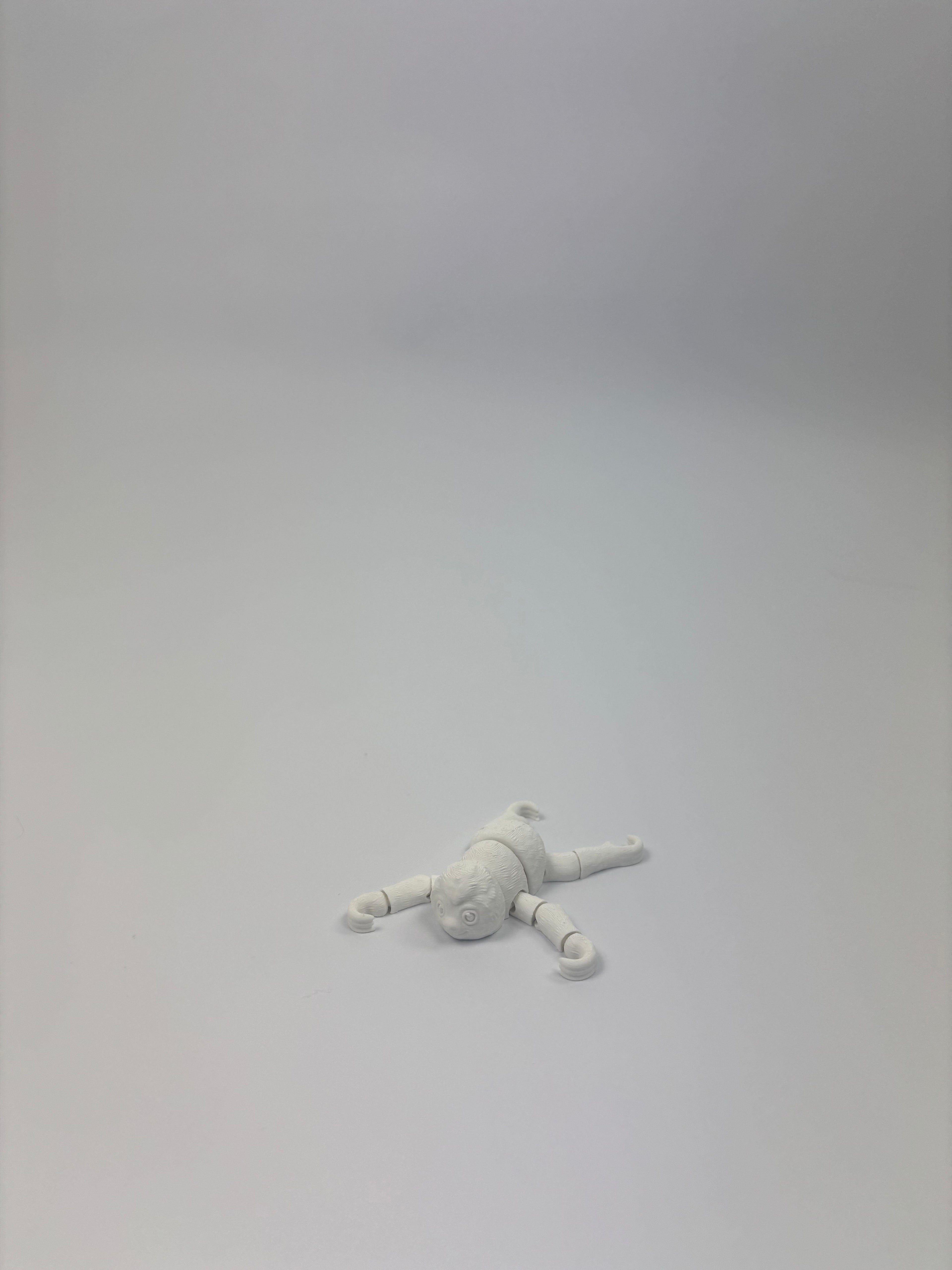 Paint your own - Mini articulated animals 2