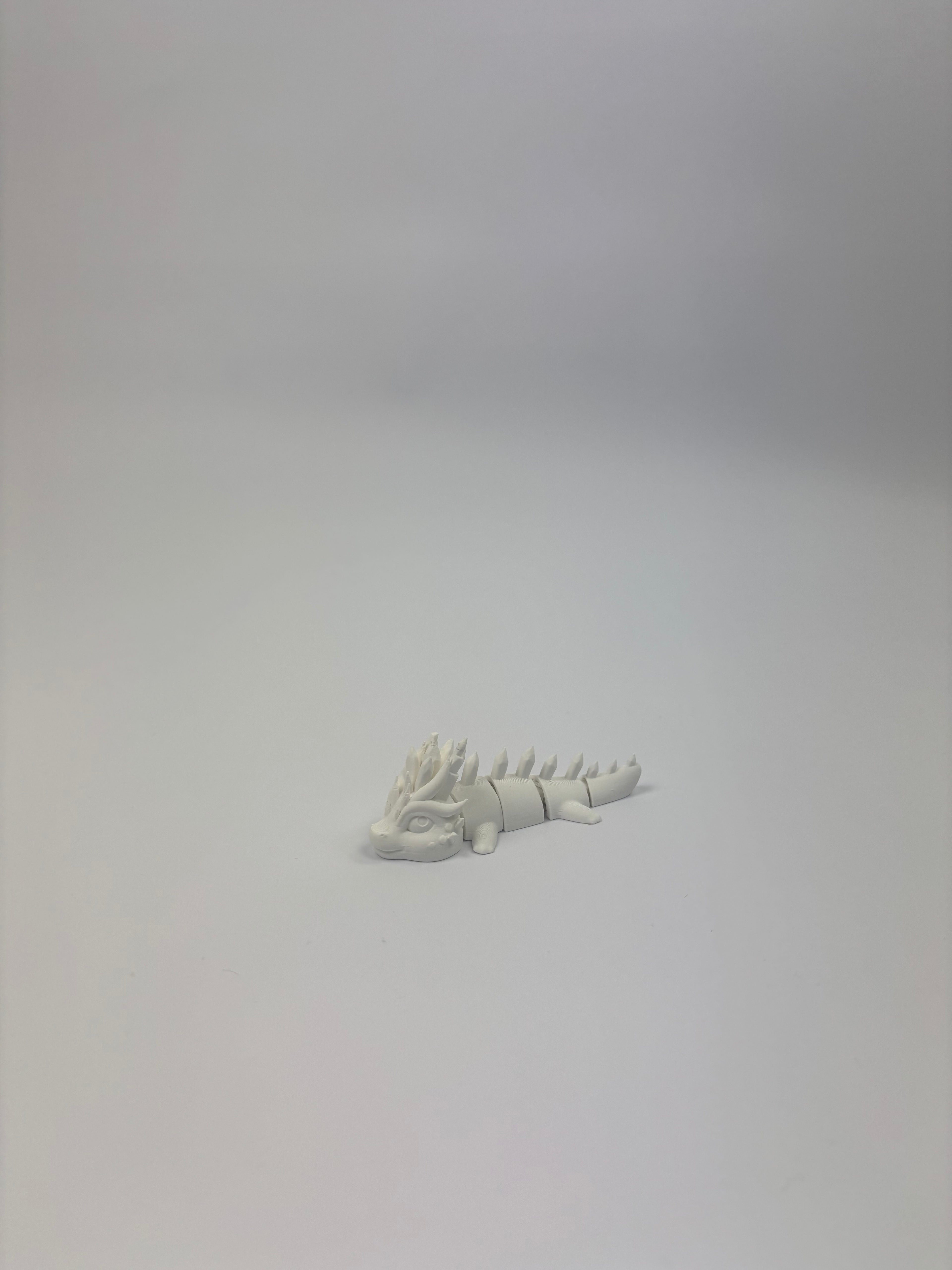 Paint your own - Articulated dragons