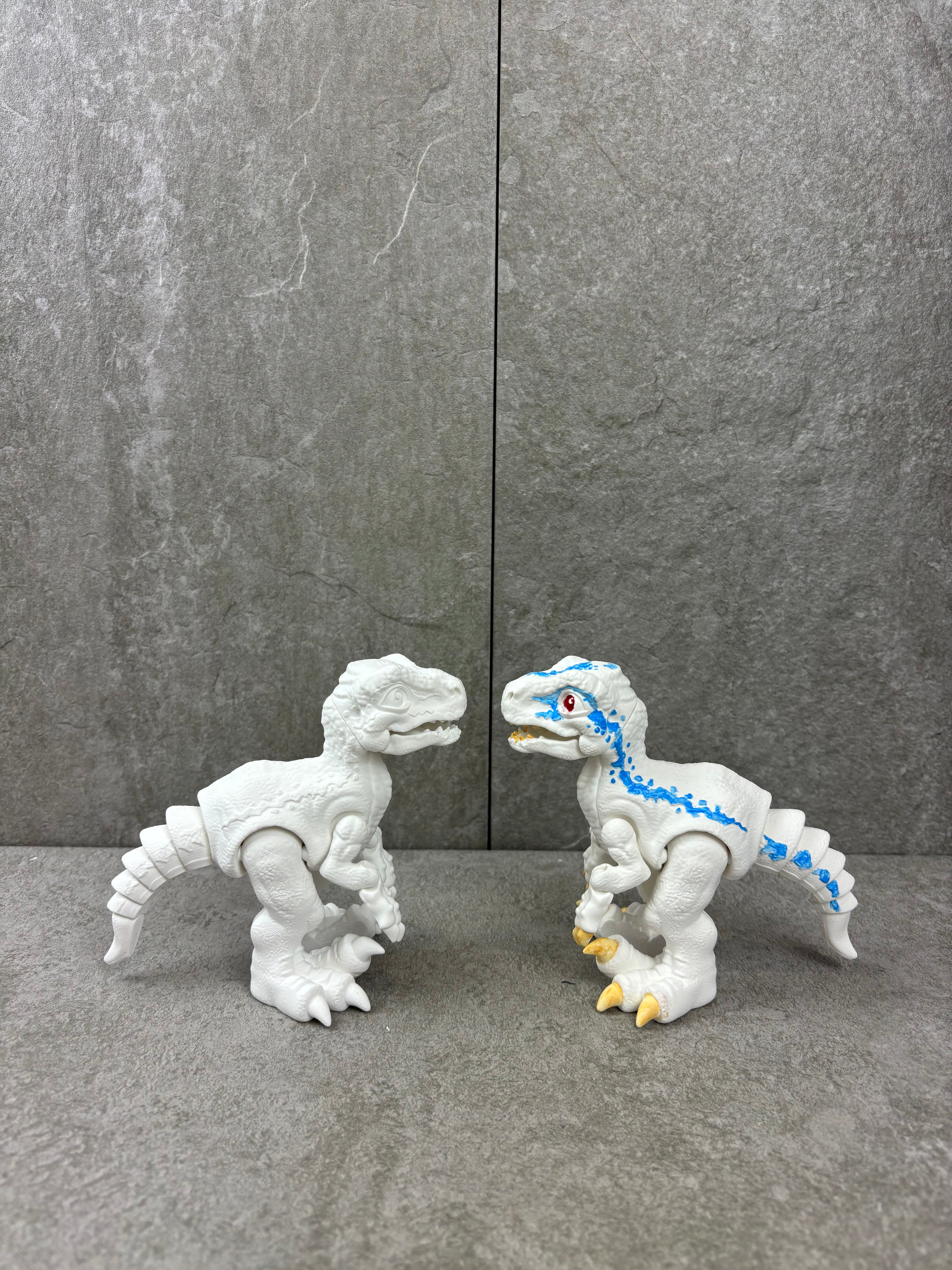 Paint your own - RAPTOR