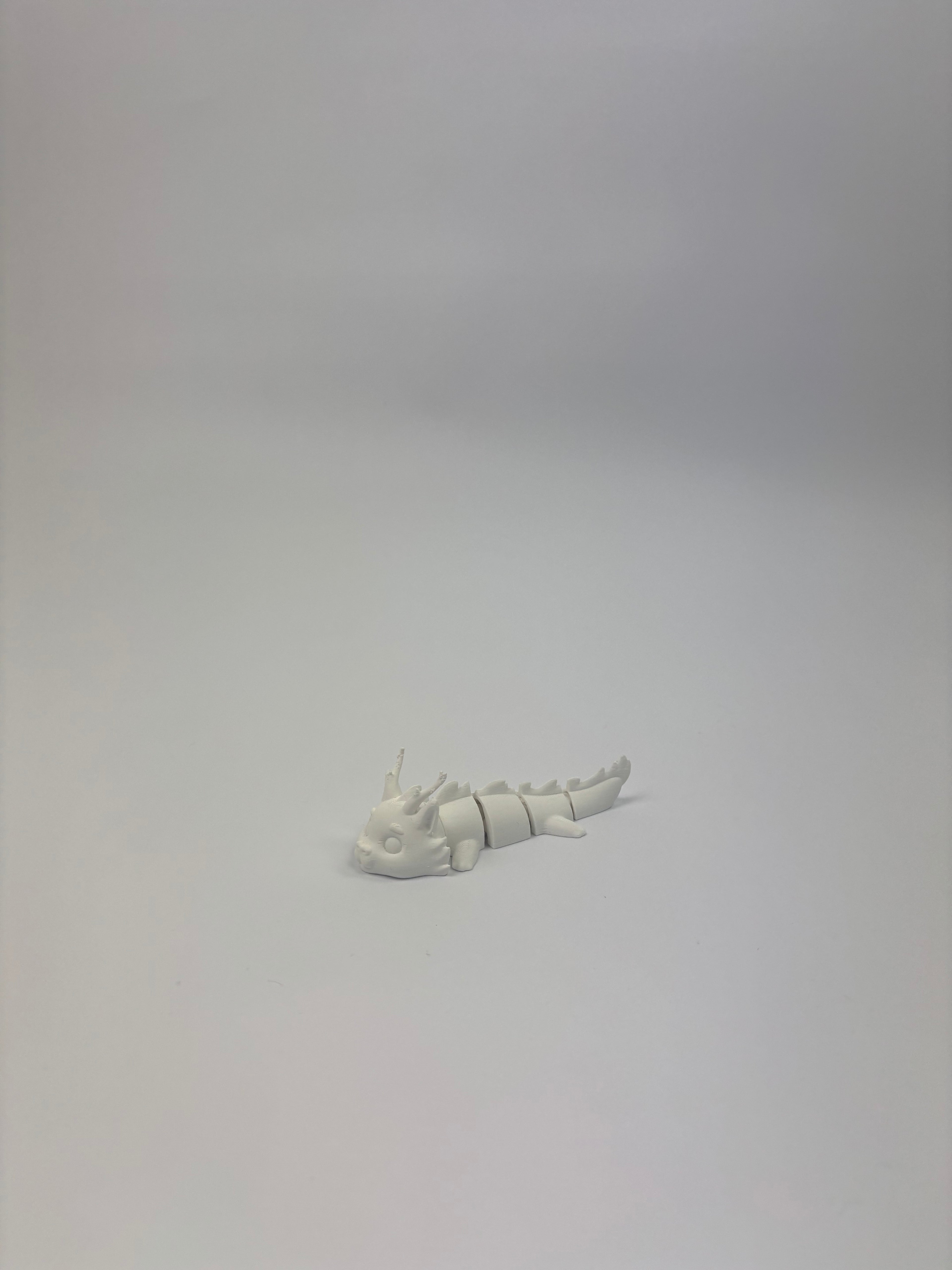 Paint your own - Articulated dragons