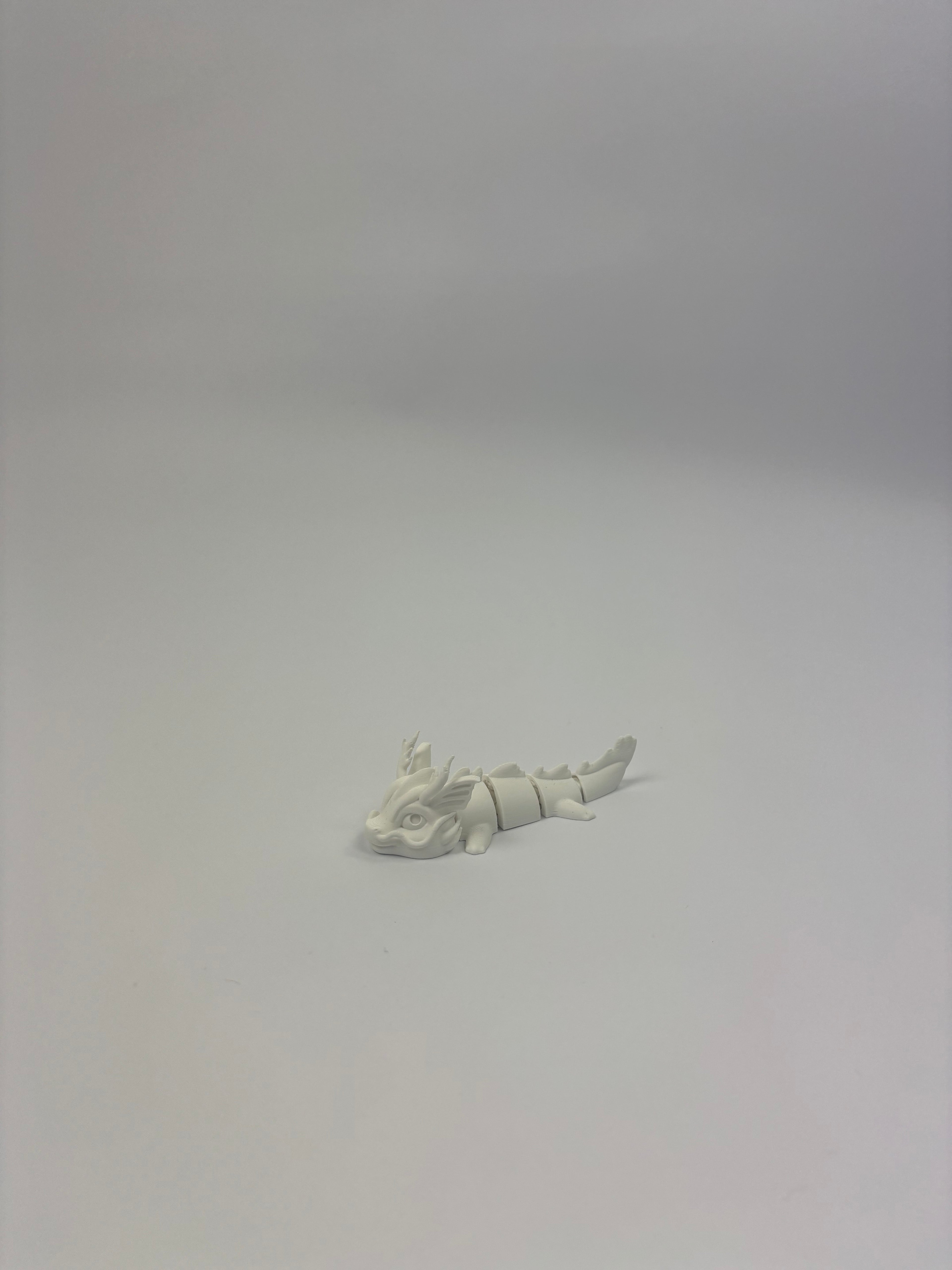 Paint your own - Articulated dragons