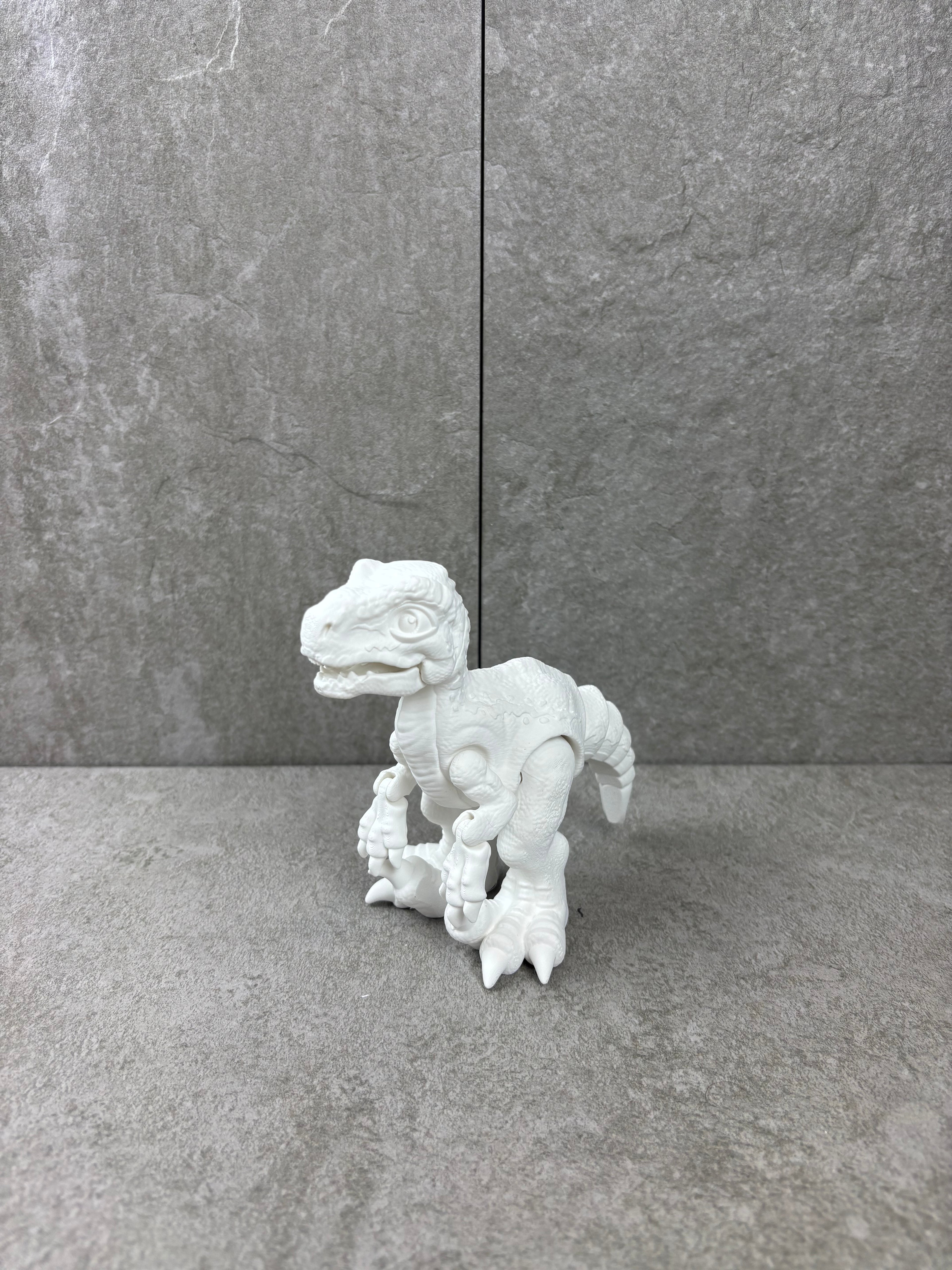 Paint your own - RAPTOR