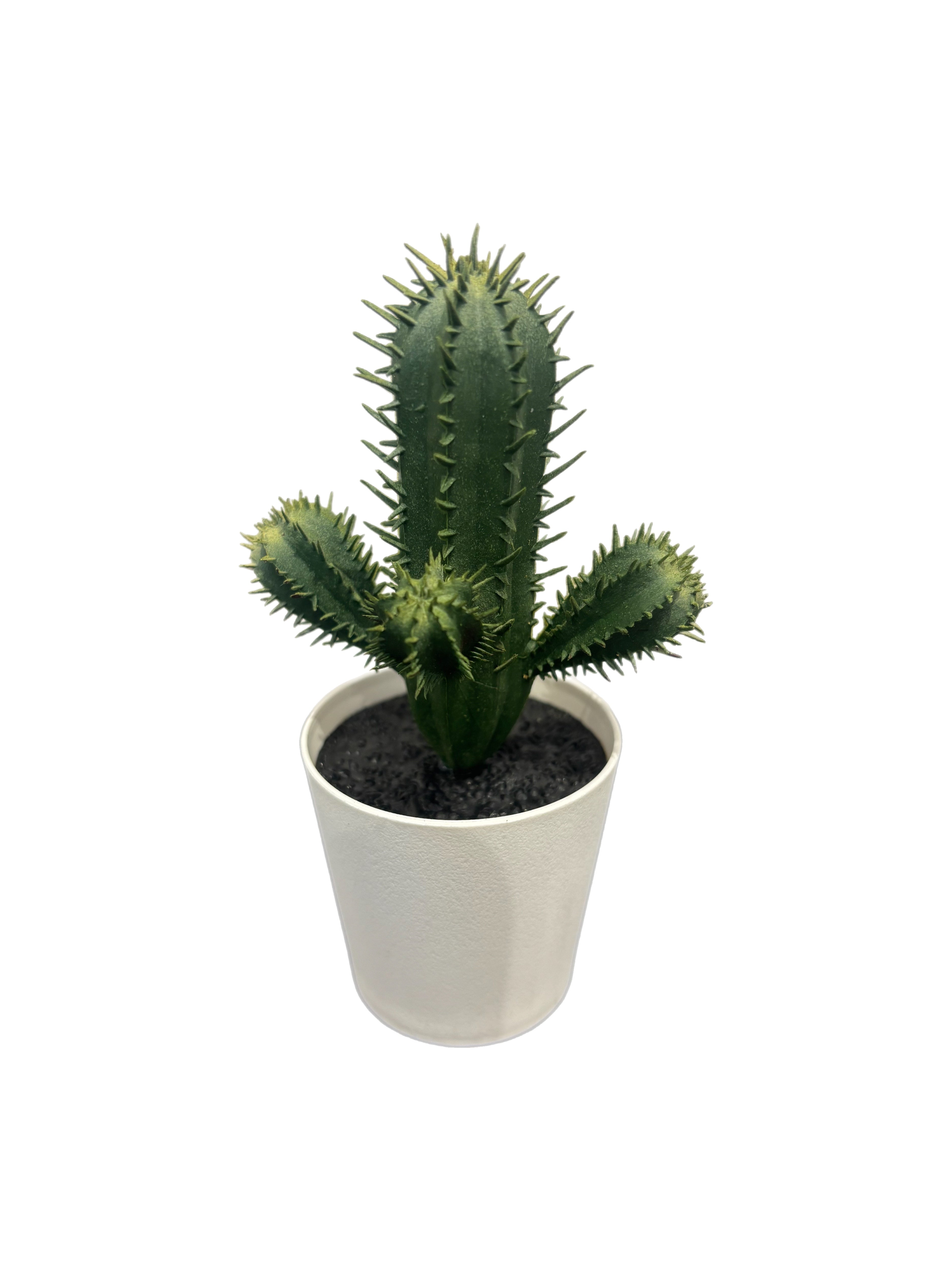 Faux plant - Cactus