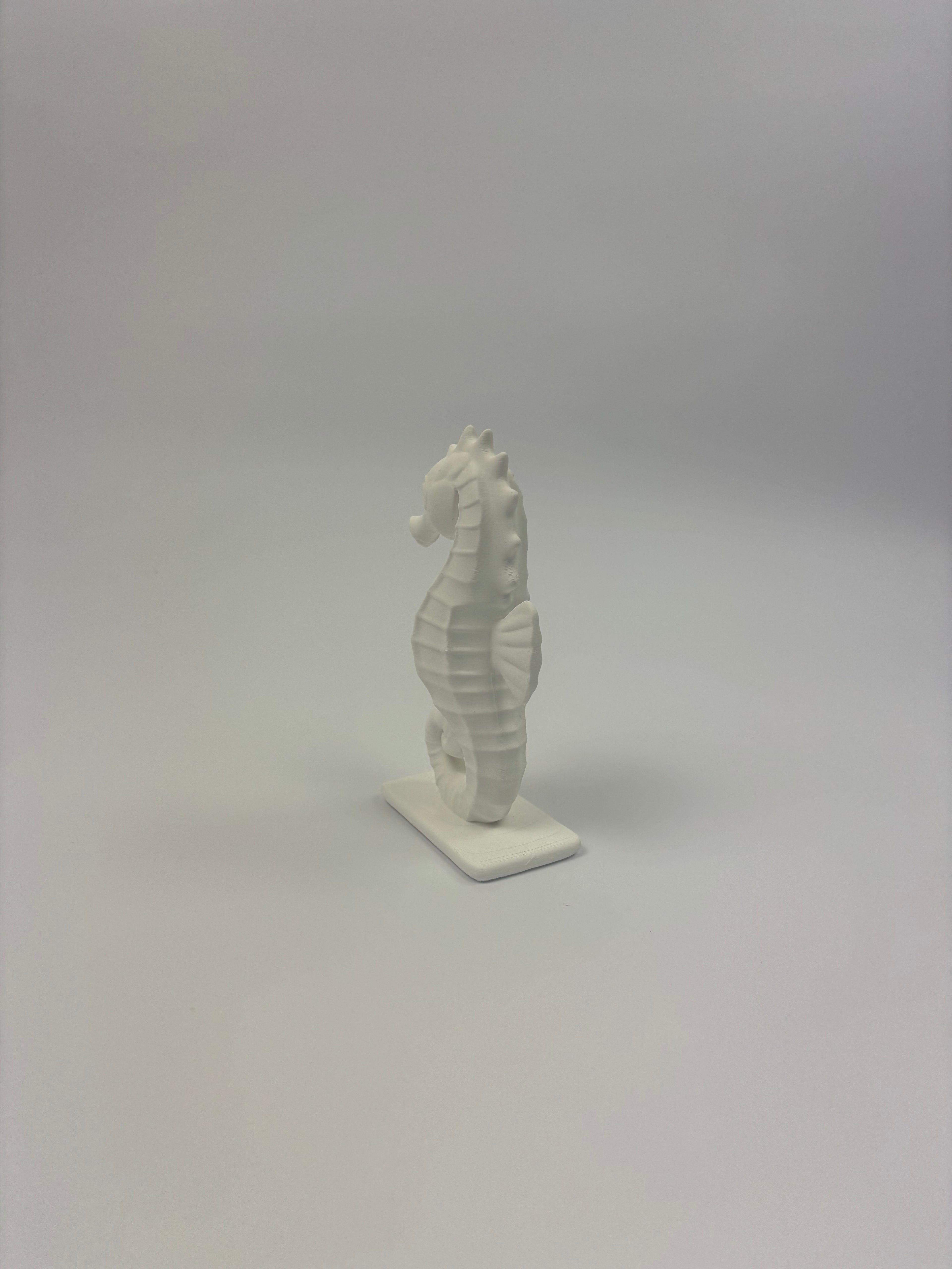 Paint your own - Seahorse