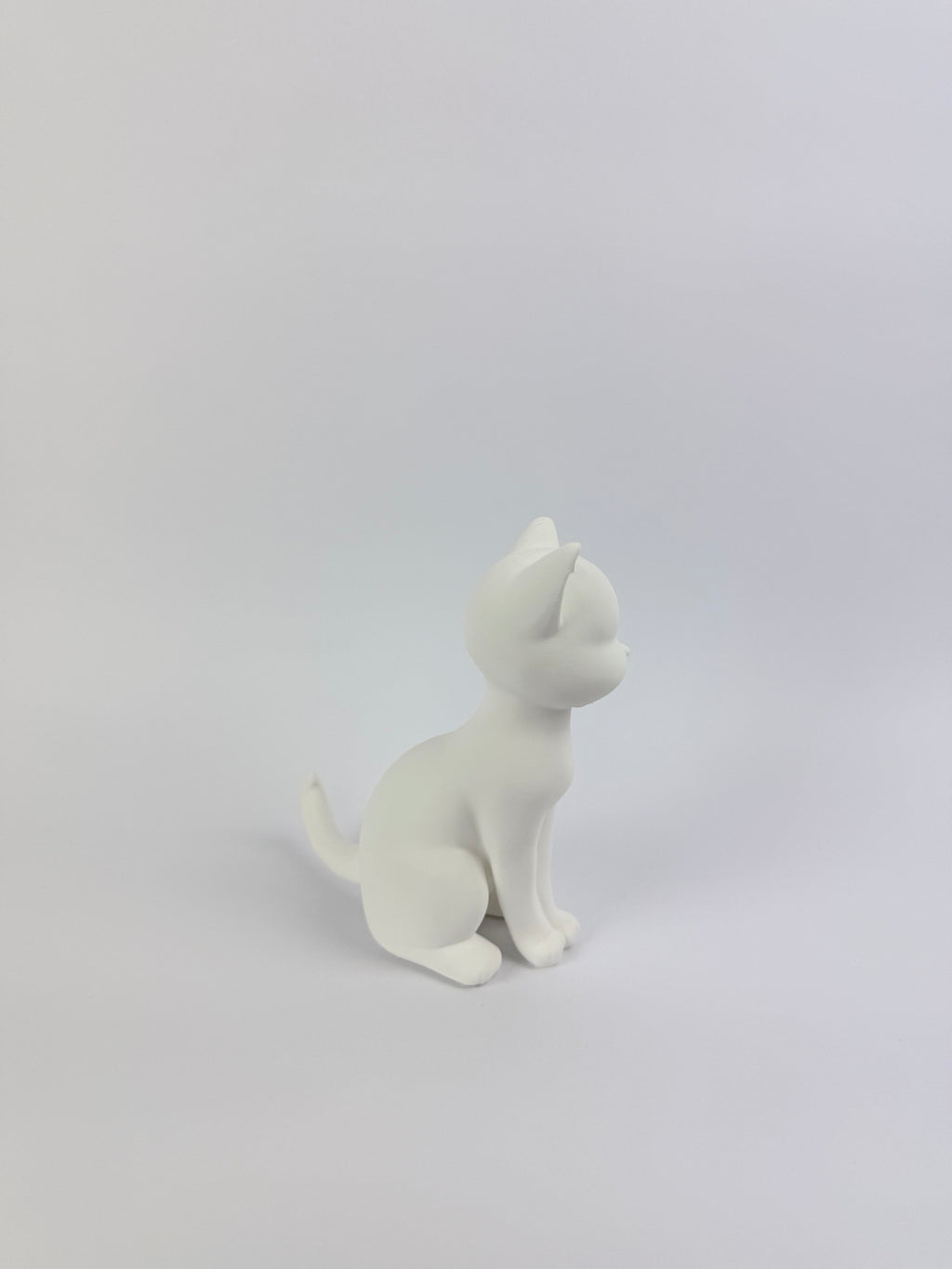 Paint your own - Cat