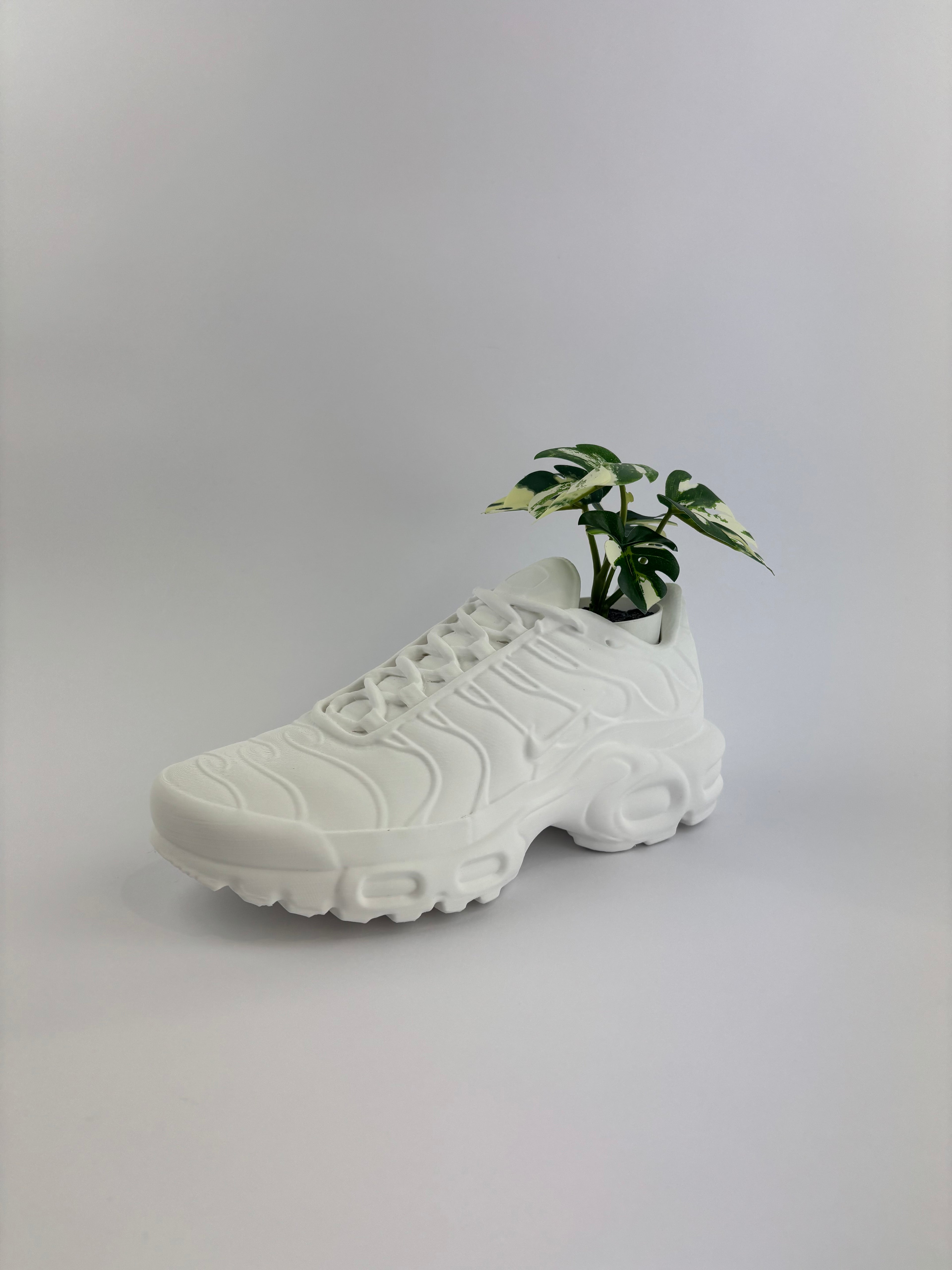 Paint your own - TN planter