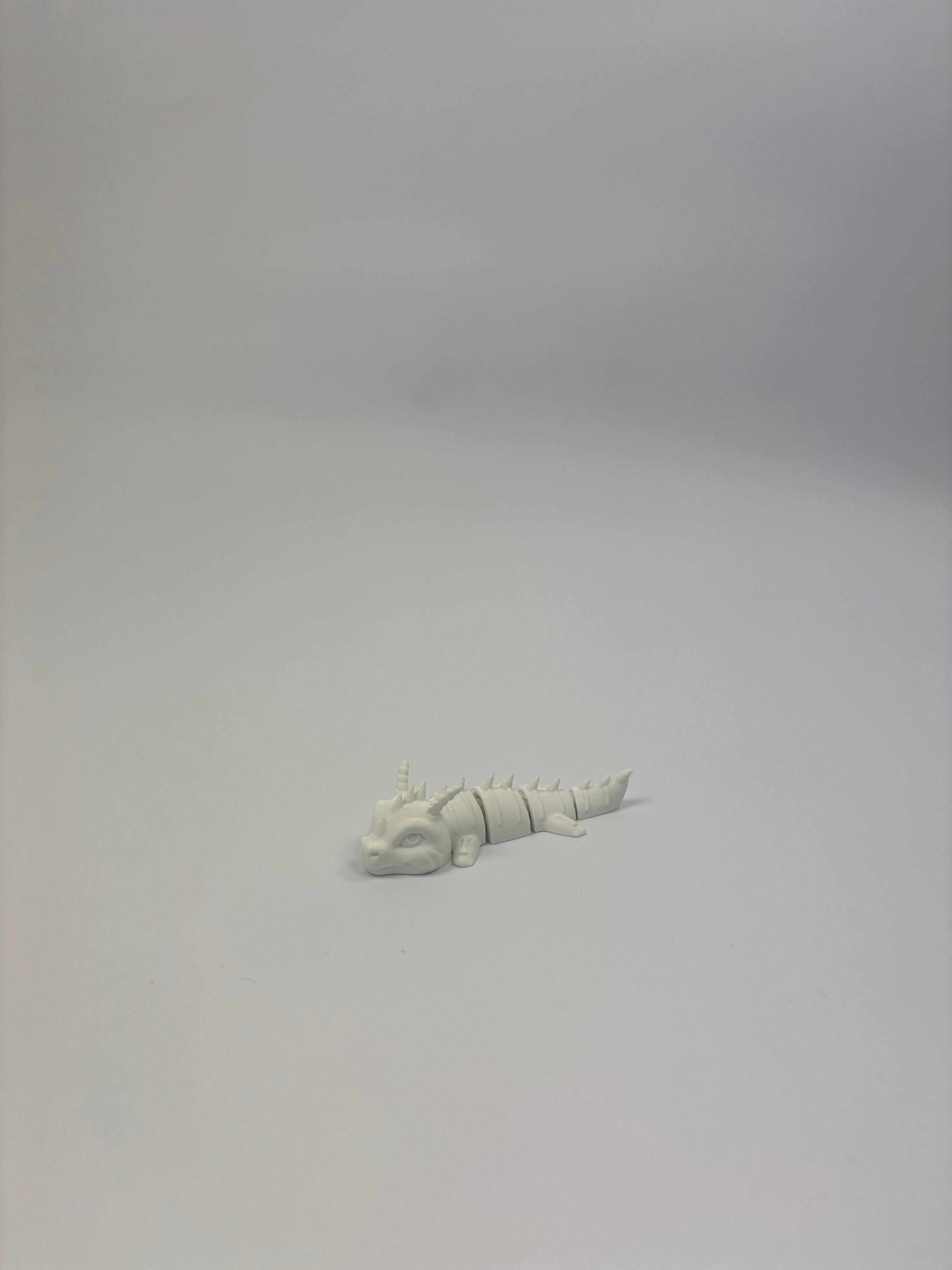 Paint your own - Articulated dragons