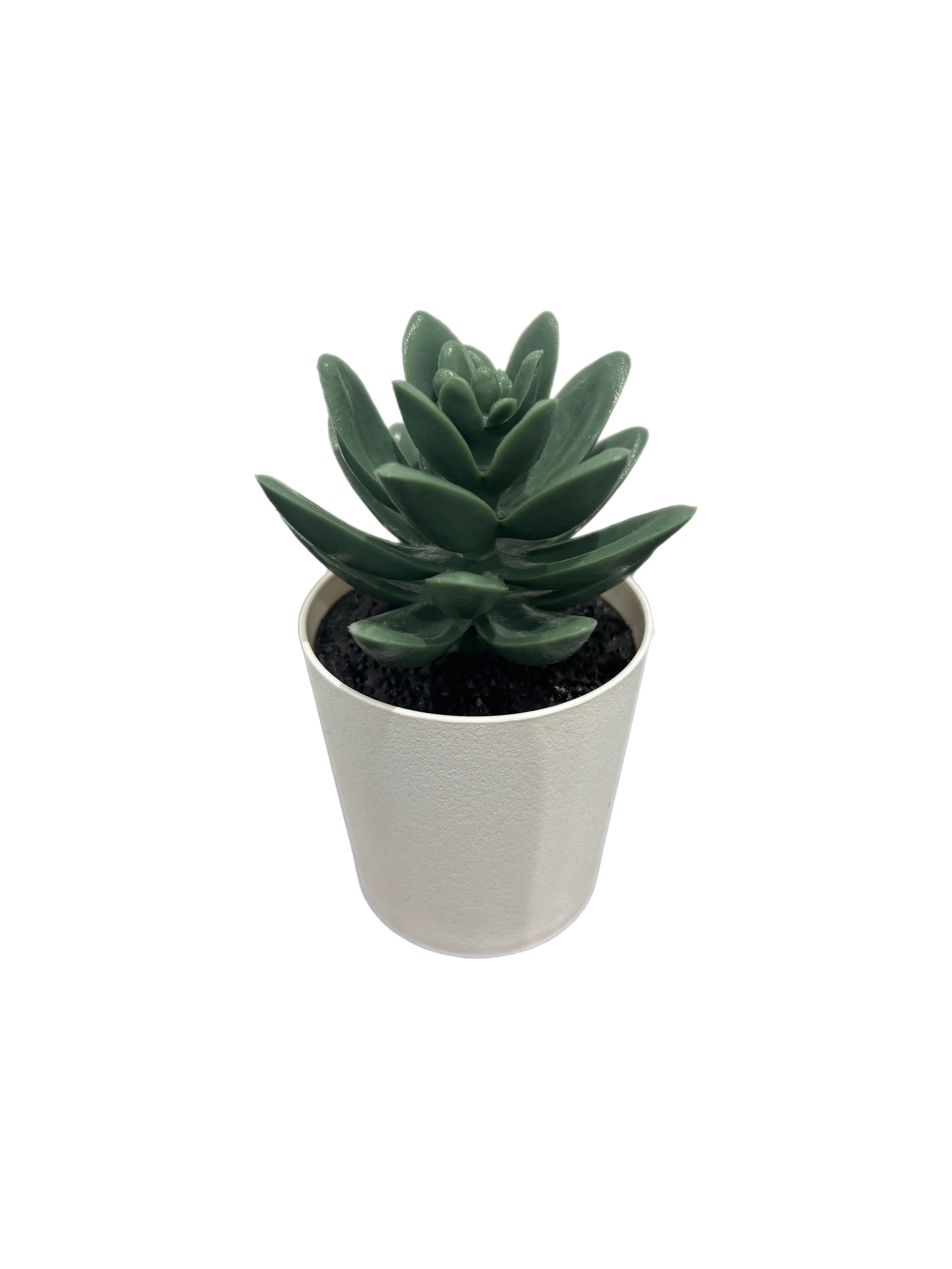 fake succulent plants Faux plant