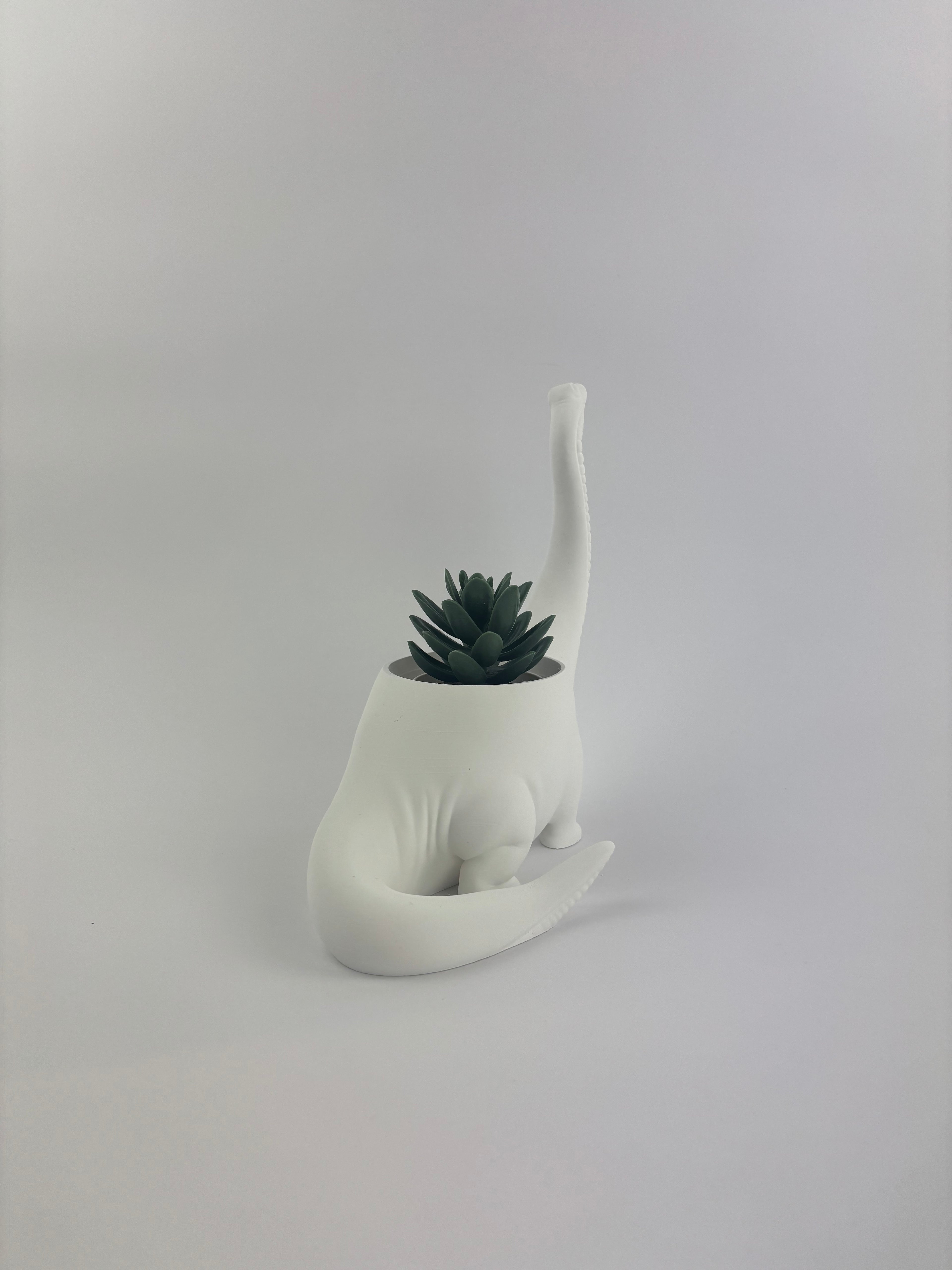 Paint your own - DINO PLANTER