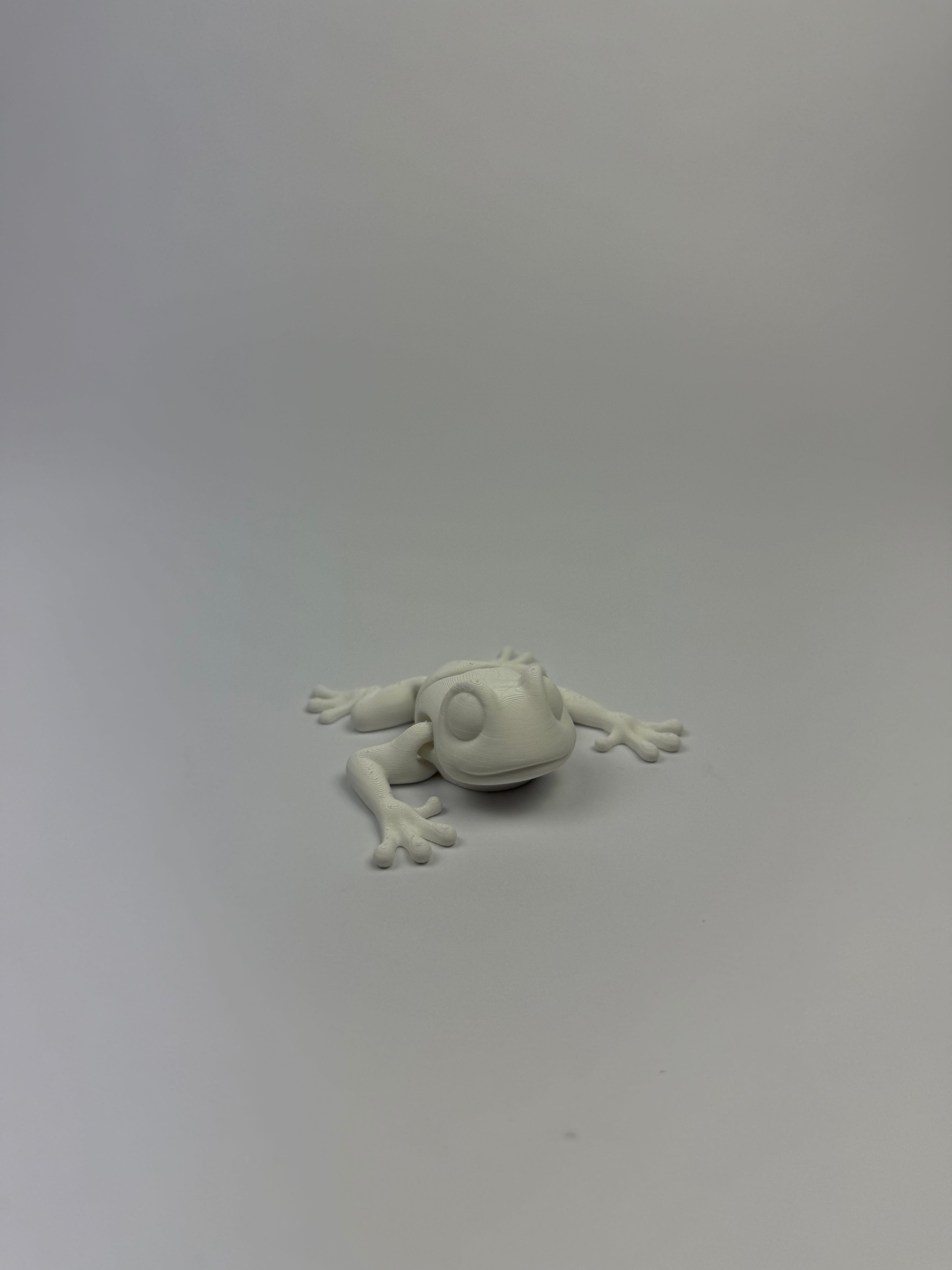 Miniature articulated animals paint kit
