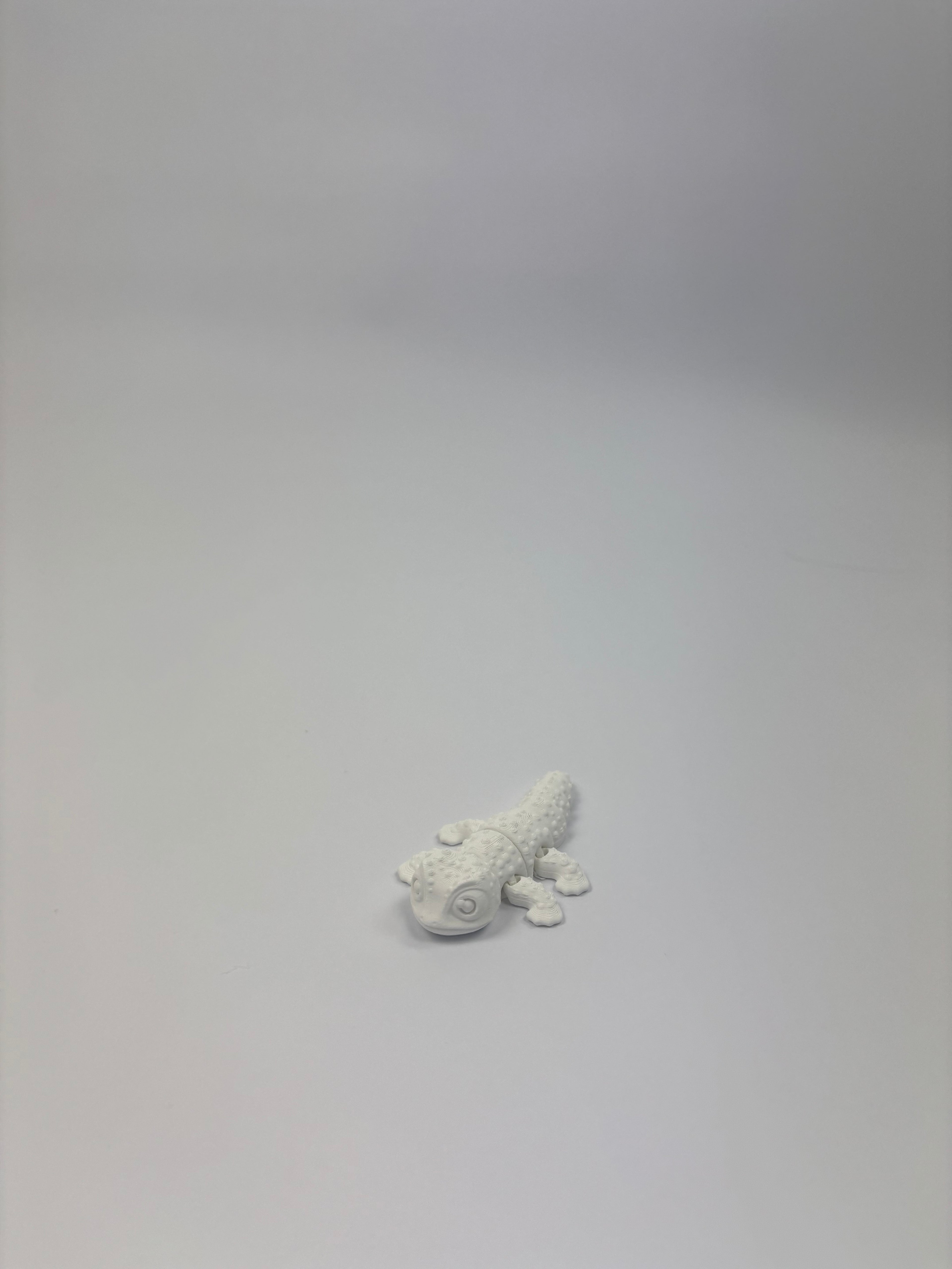 Paint your own - Mini articulated animals 2