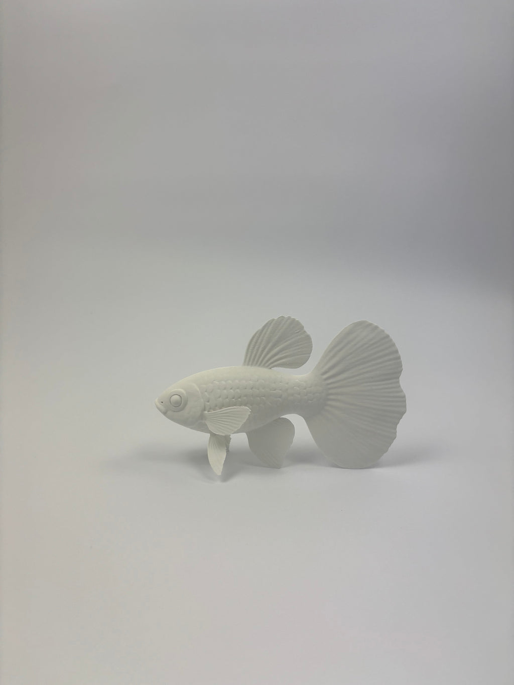 Paint your own - Guppy