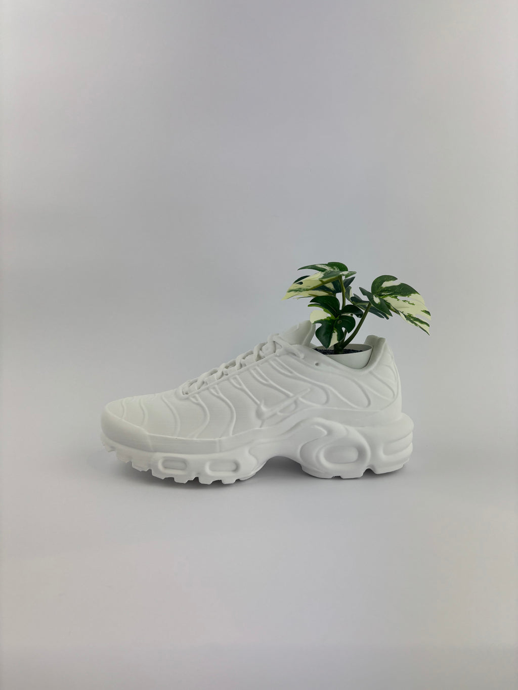 Paint your own - TN planter