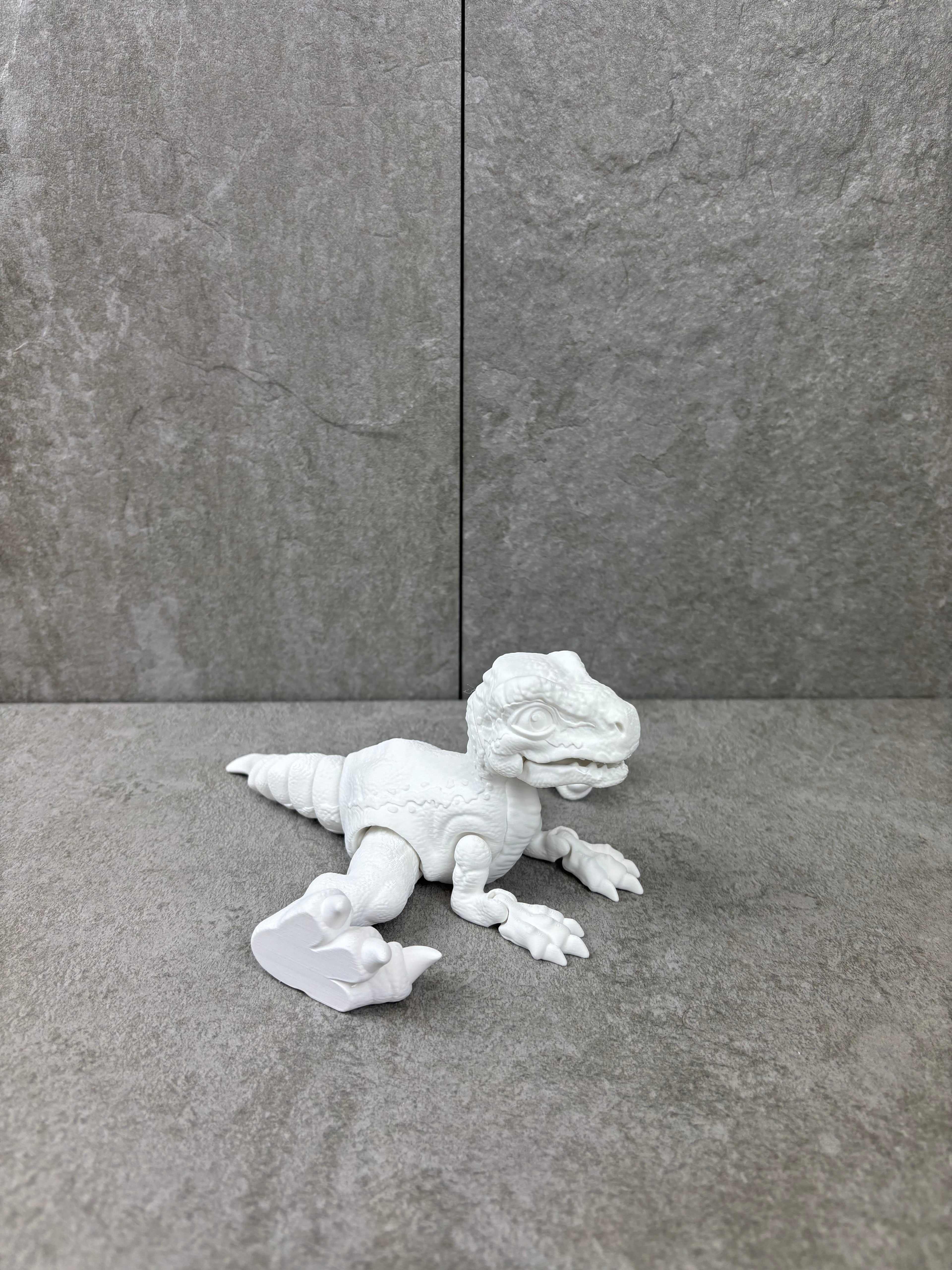 Paint your own - RAPTOR