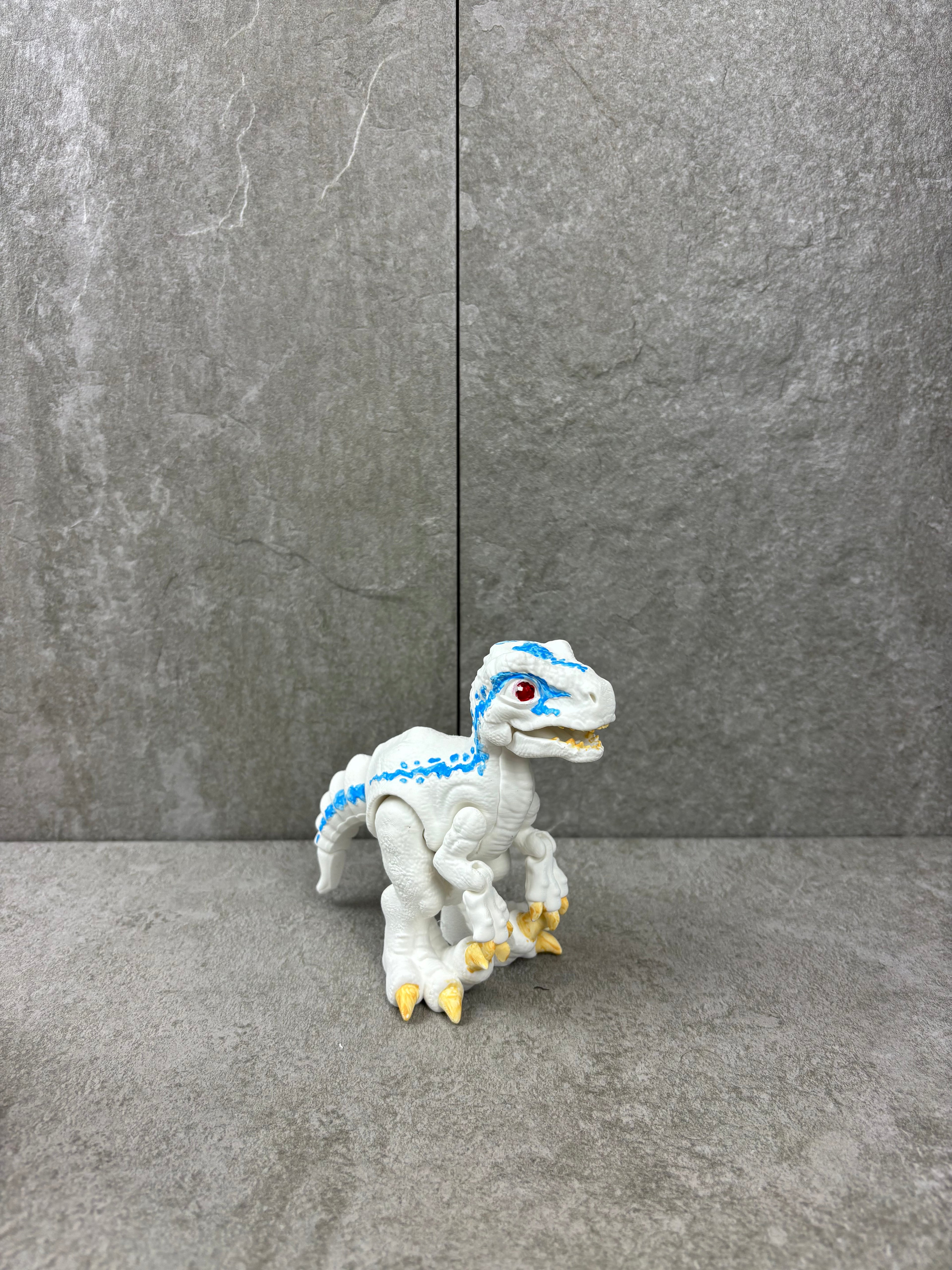 Paint your own - RAPTOR