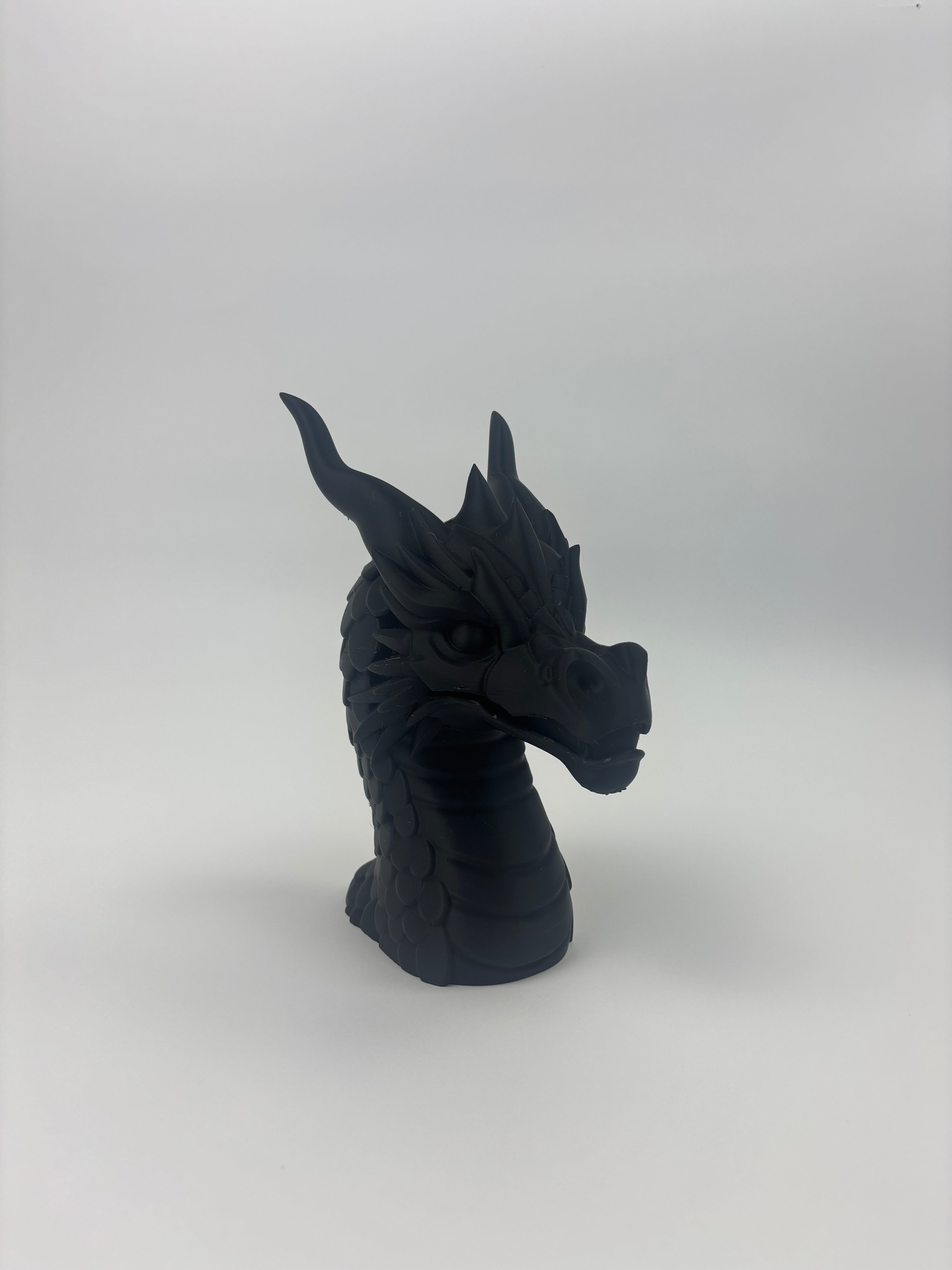 Paint your own - Dragon head