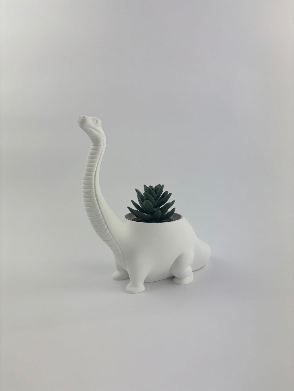 Paint your own - DINO PLANTER