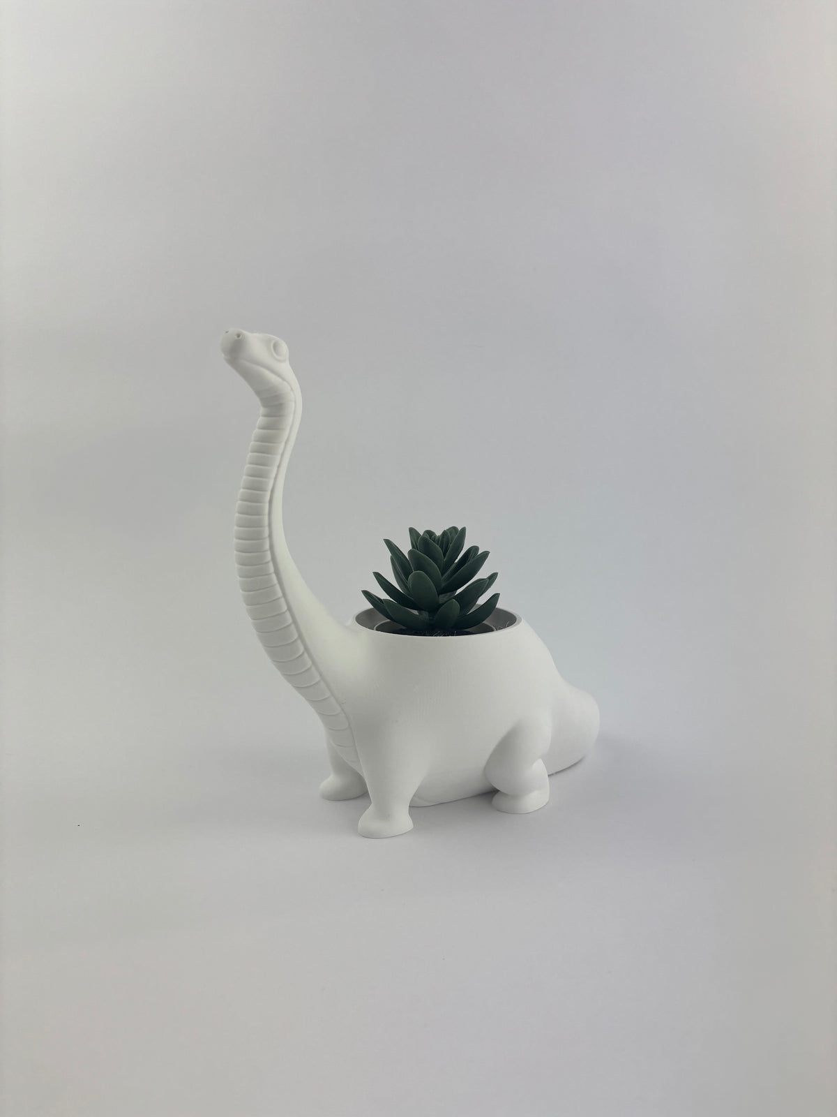 Paint your own - DINO PLANTER