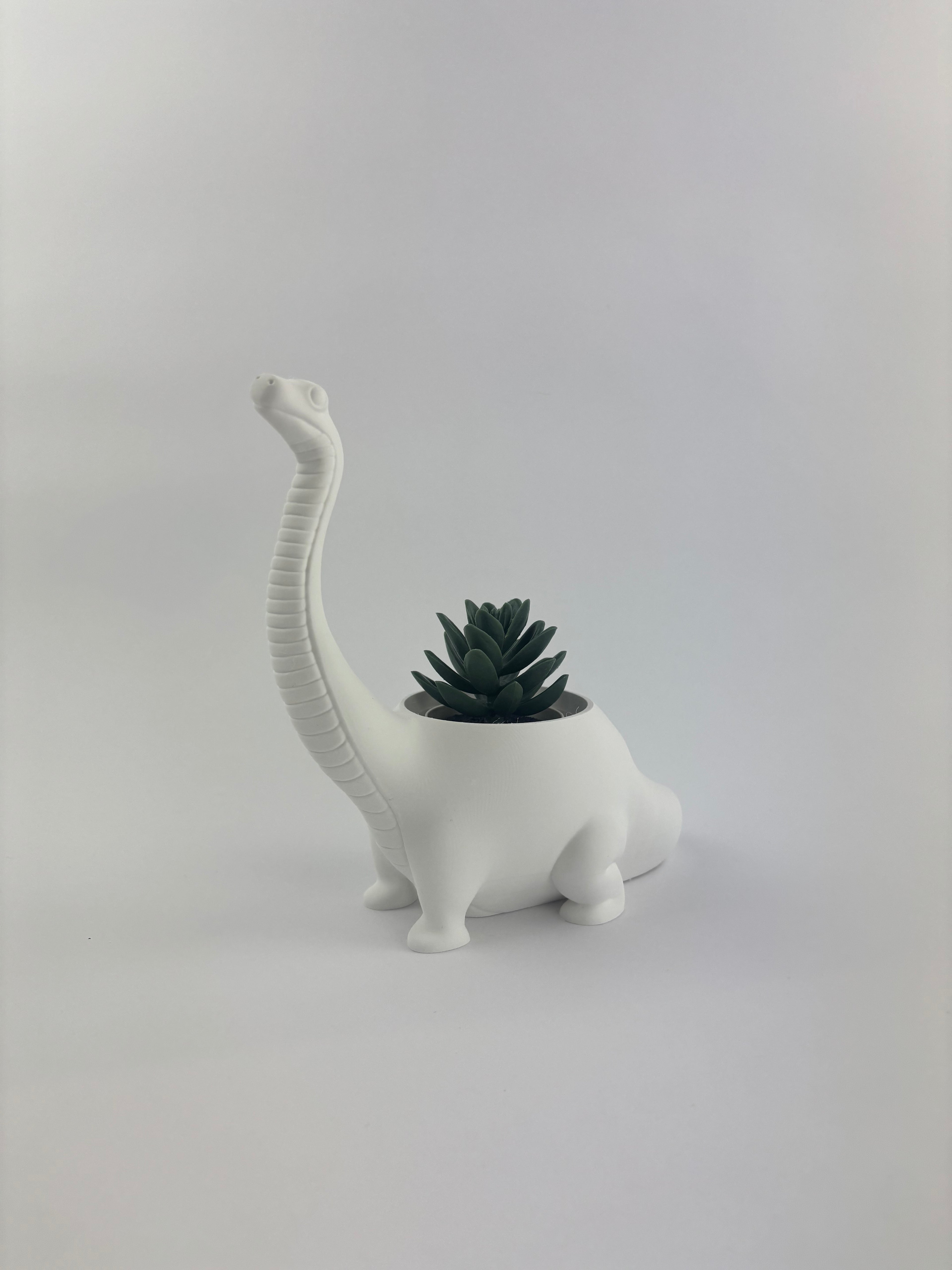 Paint your own - DINO PLANTER
