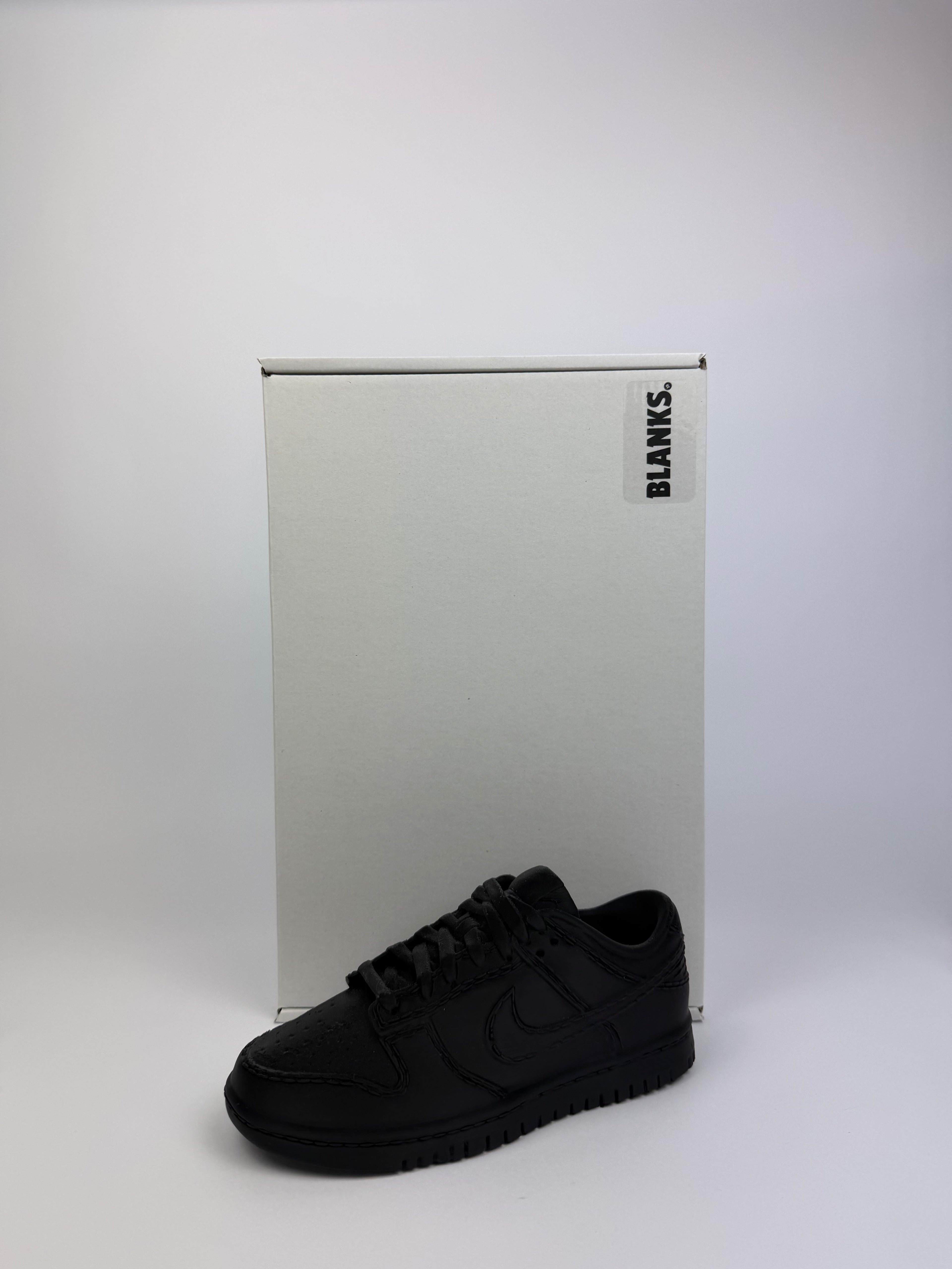 Paint your own - Dunk v2