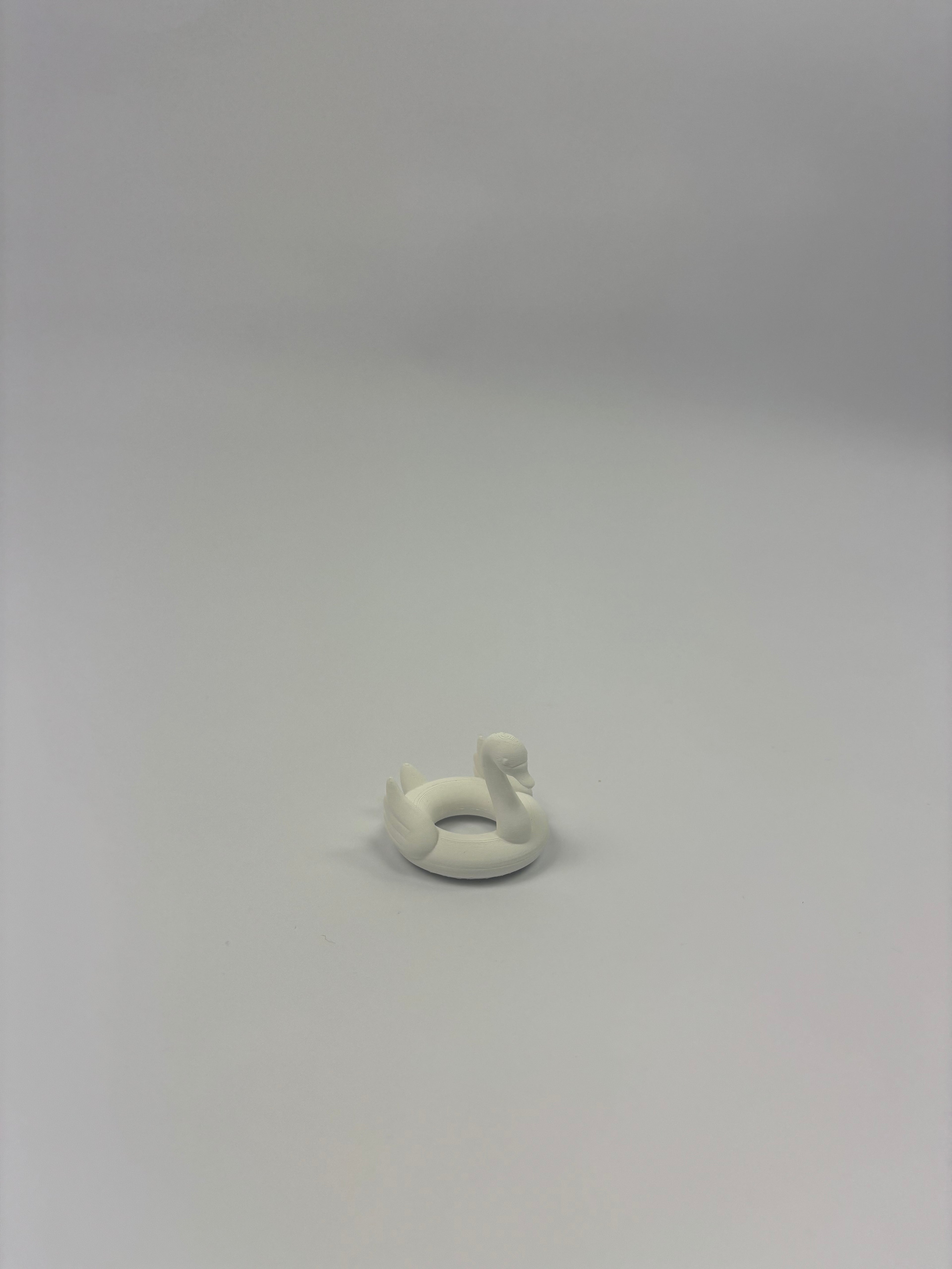 Paint your own - Mini pool floatie (ring holders)