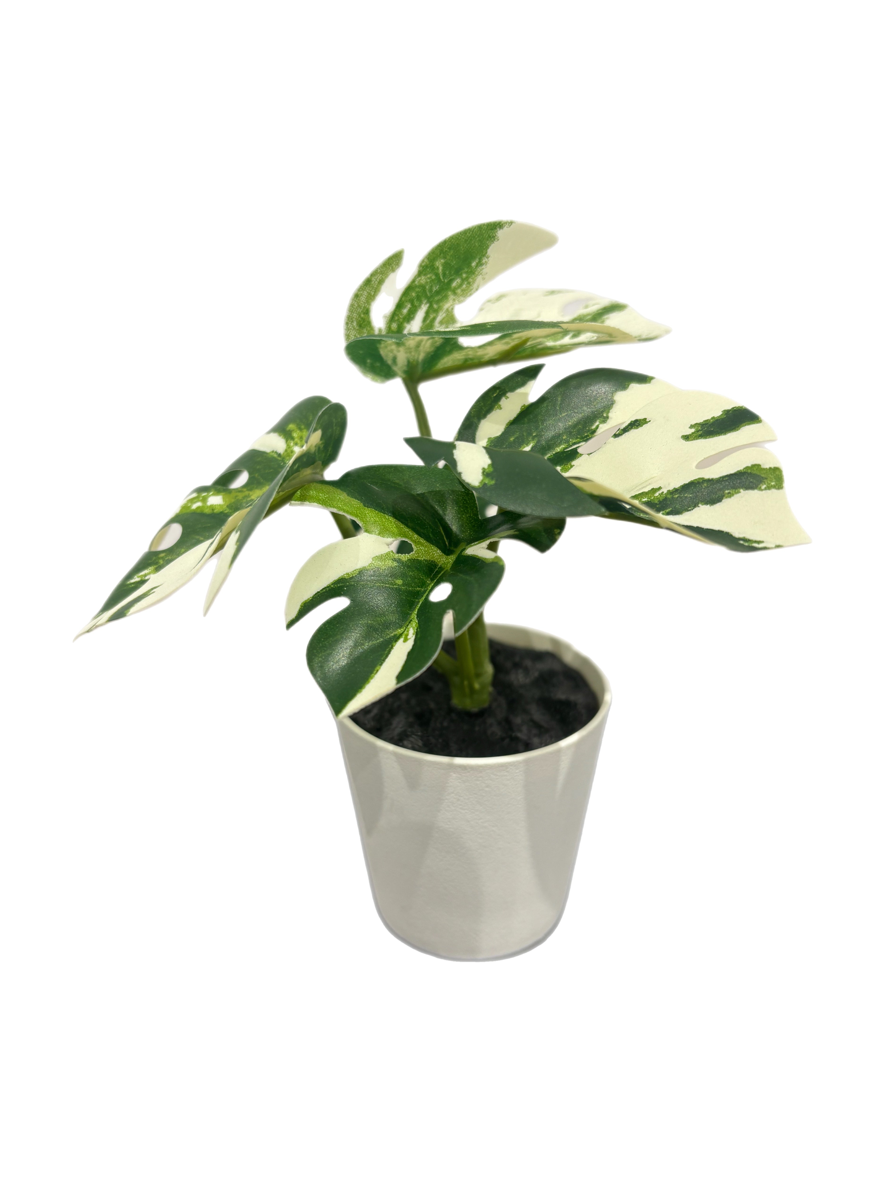 Faux plant - Monstera