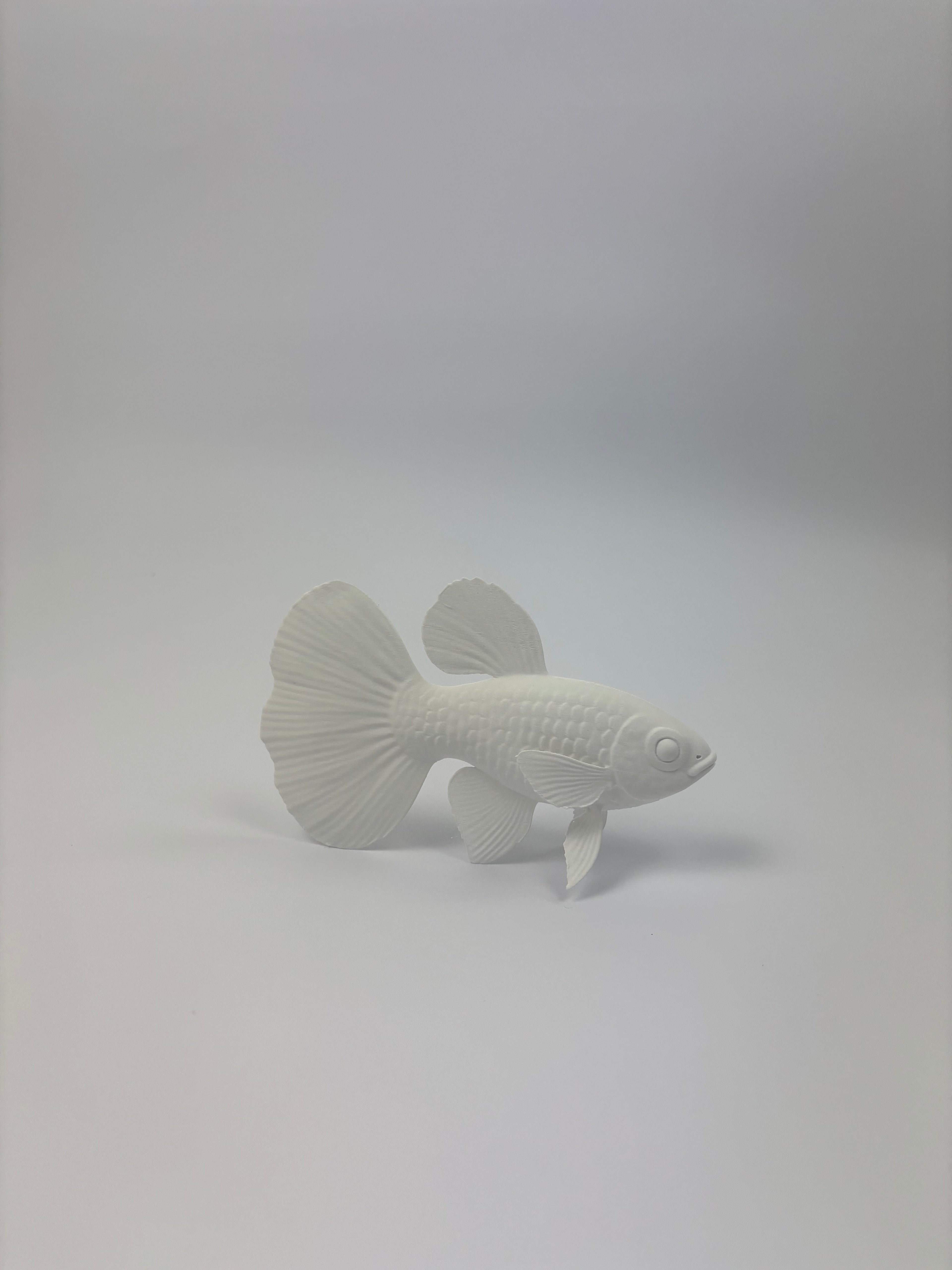 Paint your own - Guppy