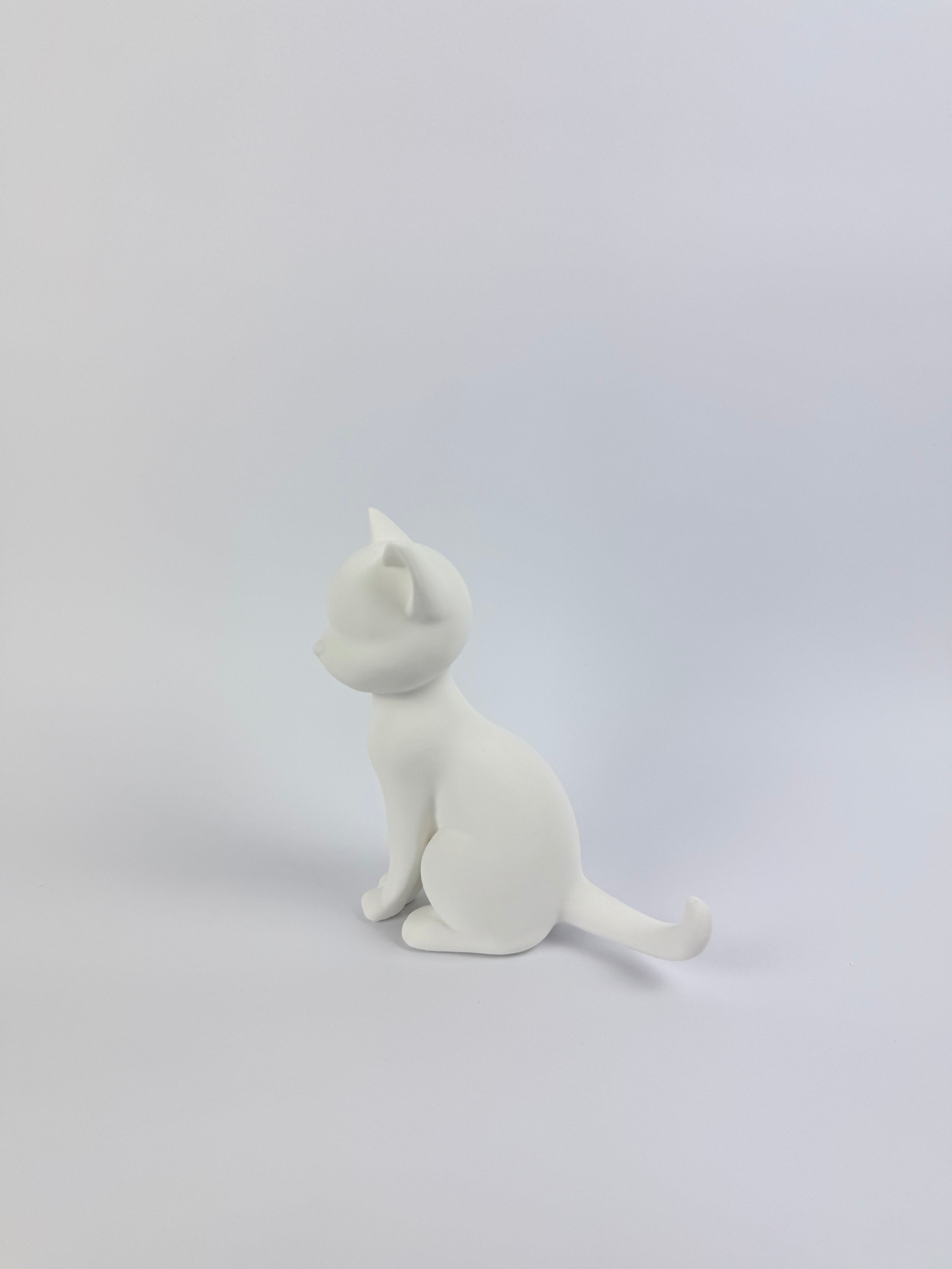 Paint your own - Cat