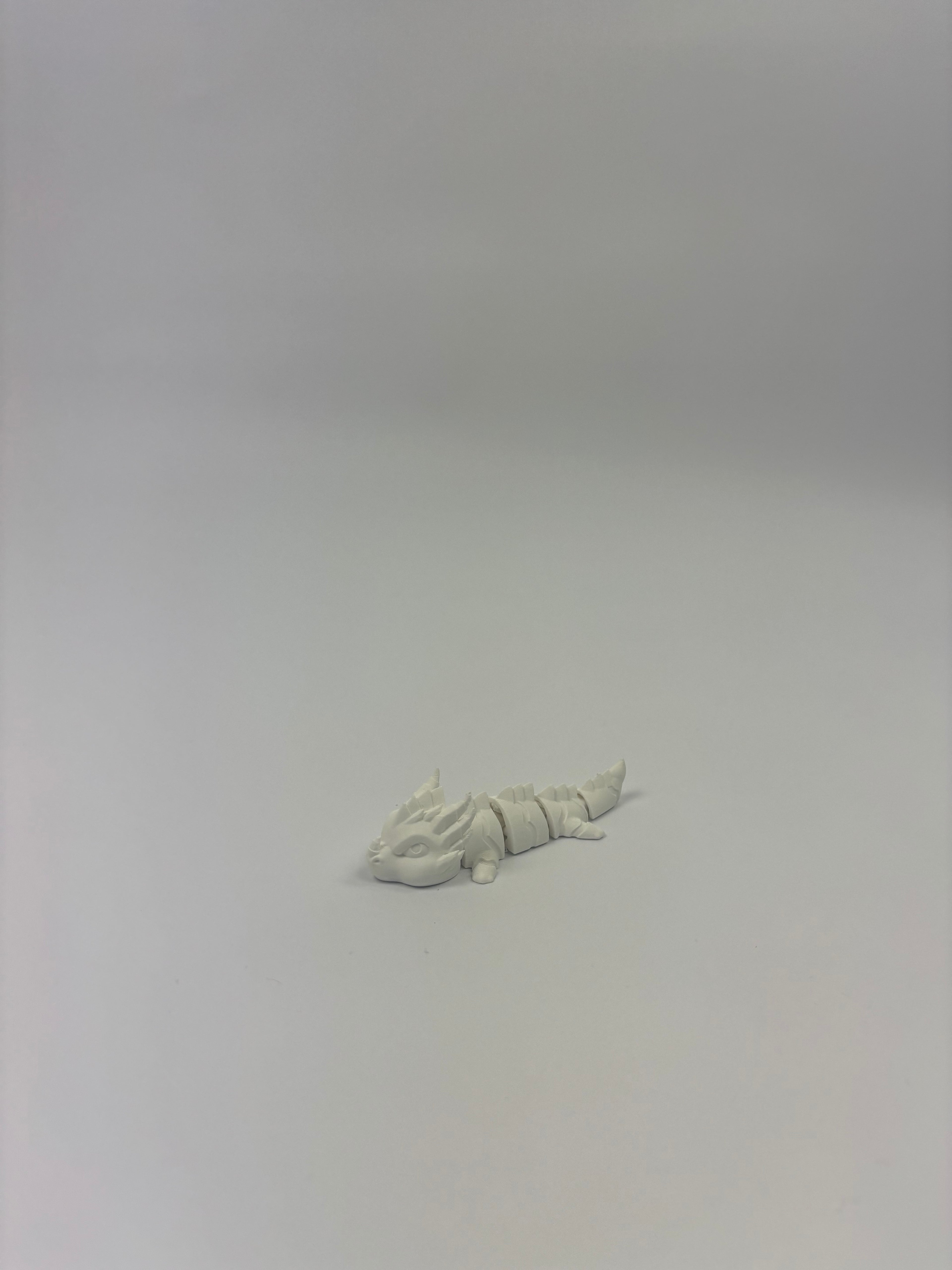 Paint your own - Articulated dragons