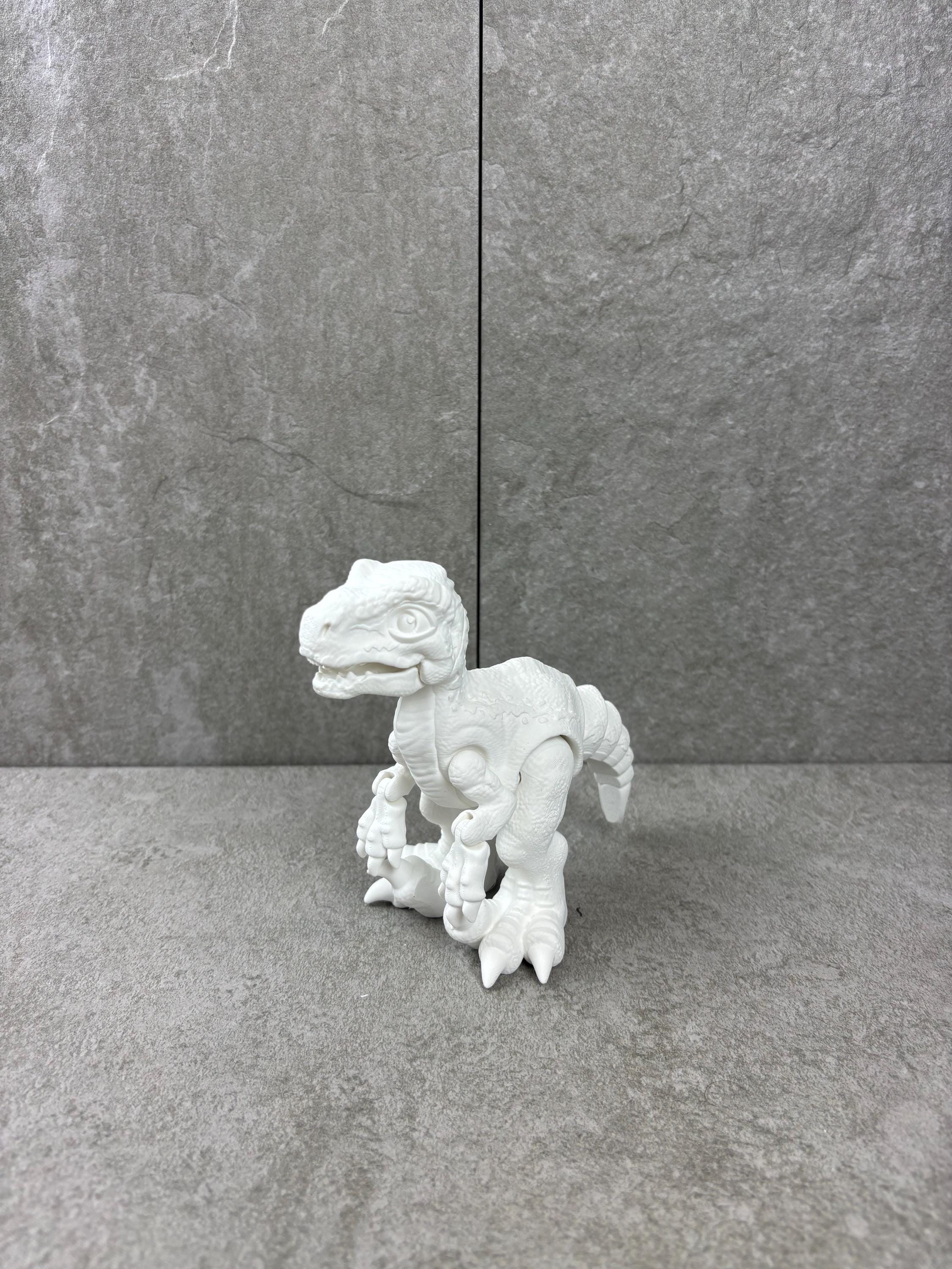 Paint your own - RAPTOR