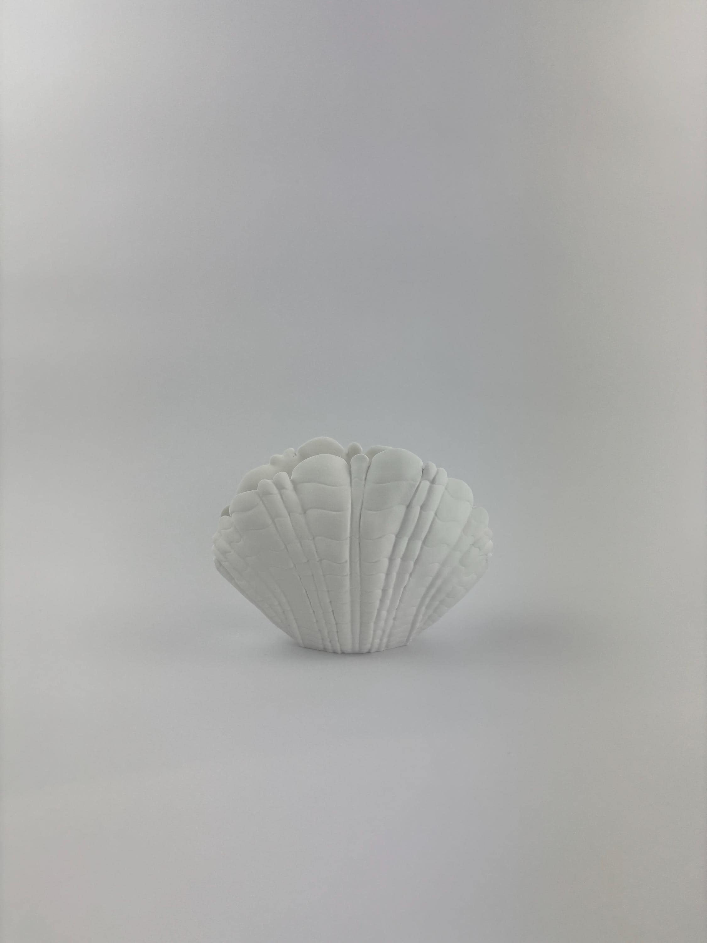 Paint your own - SHELL VASE