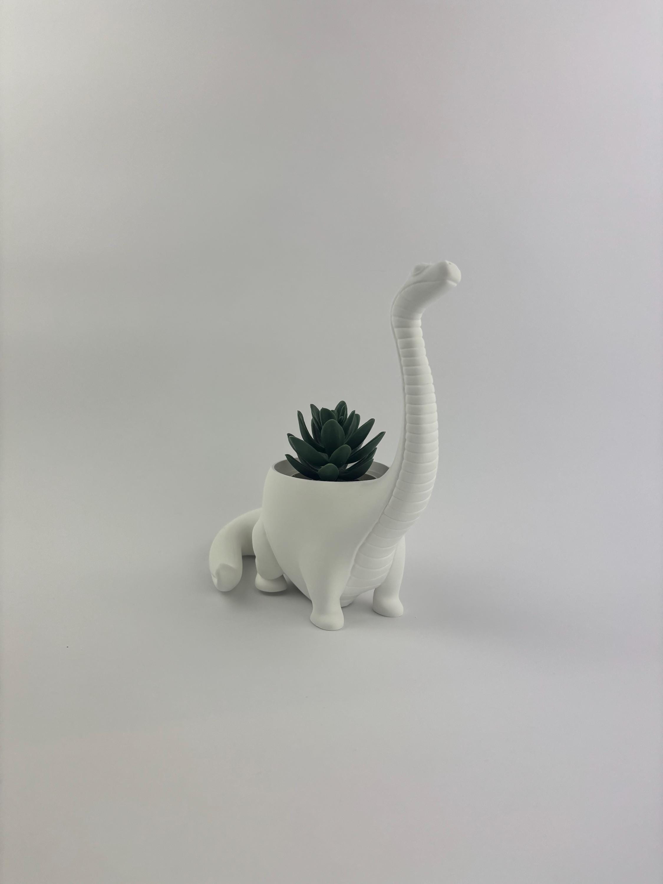 Paint your own - DINO PLANTER