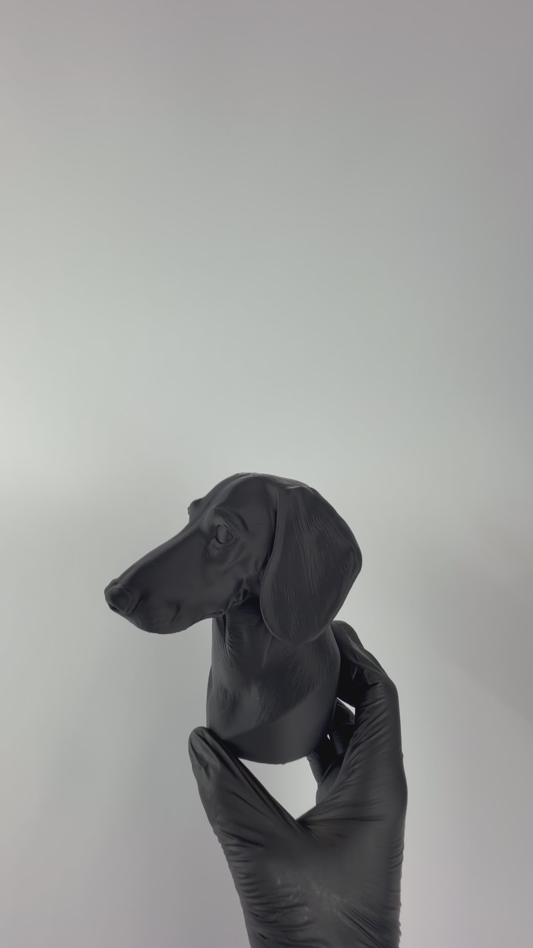 Paint your own - Dachshund Bust