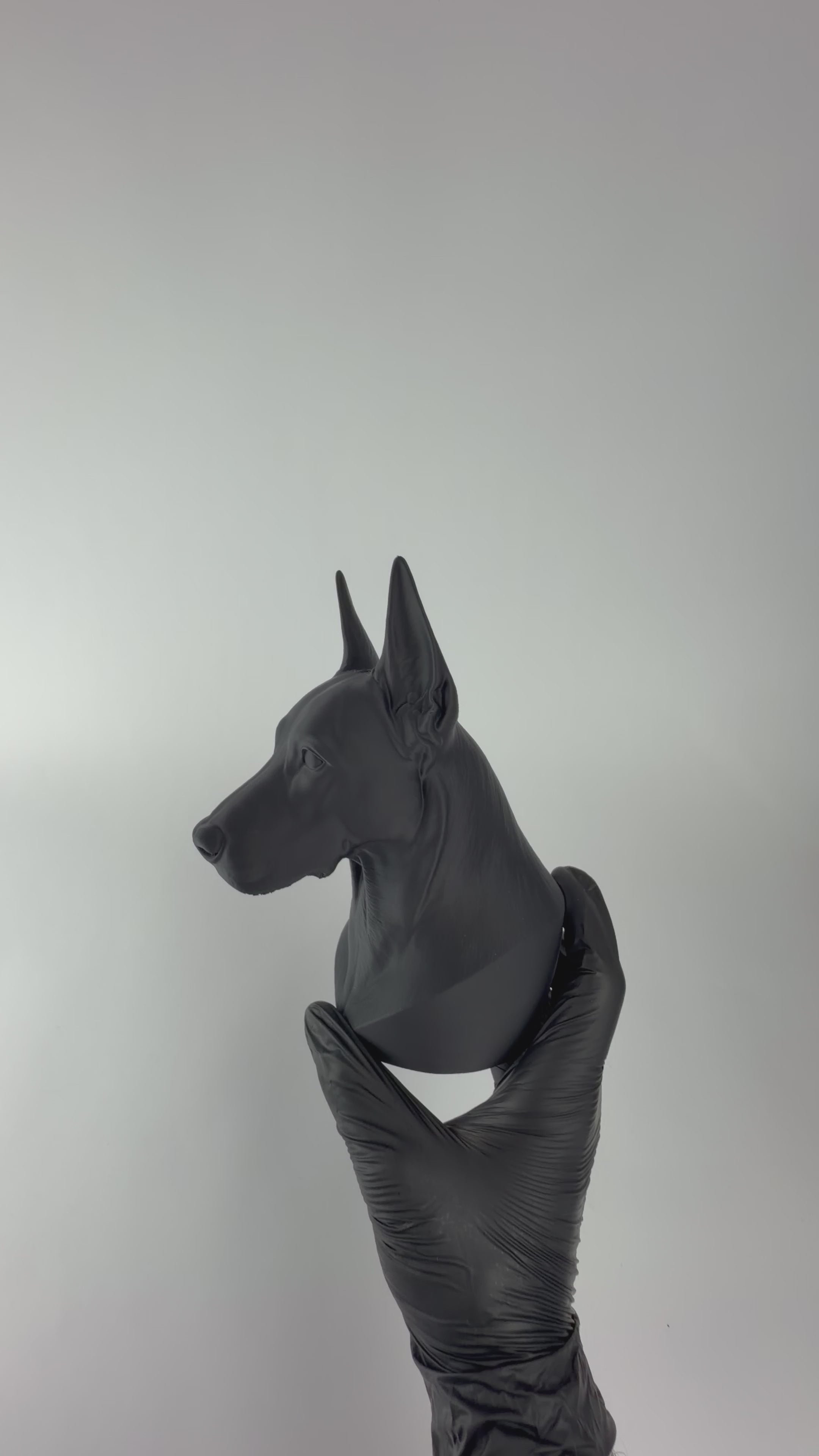 Paint your own - Doberman Bust