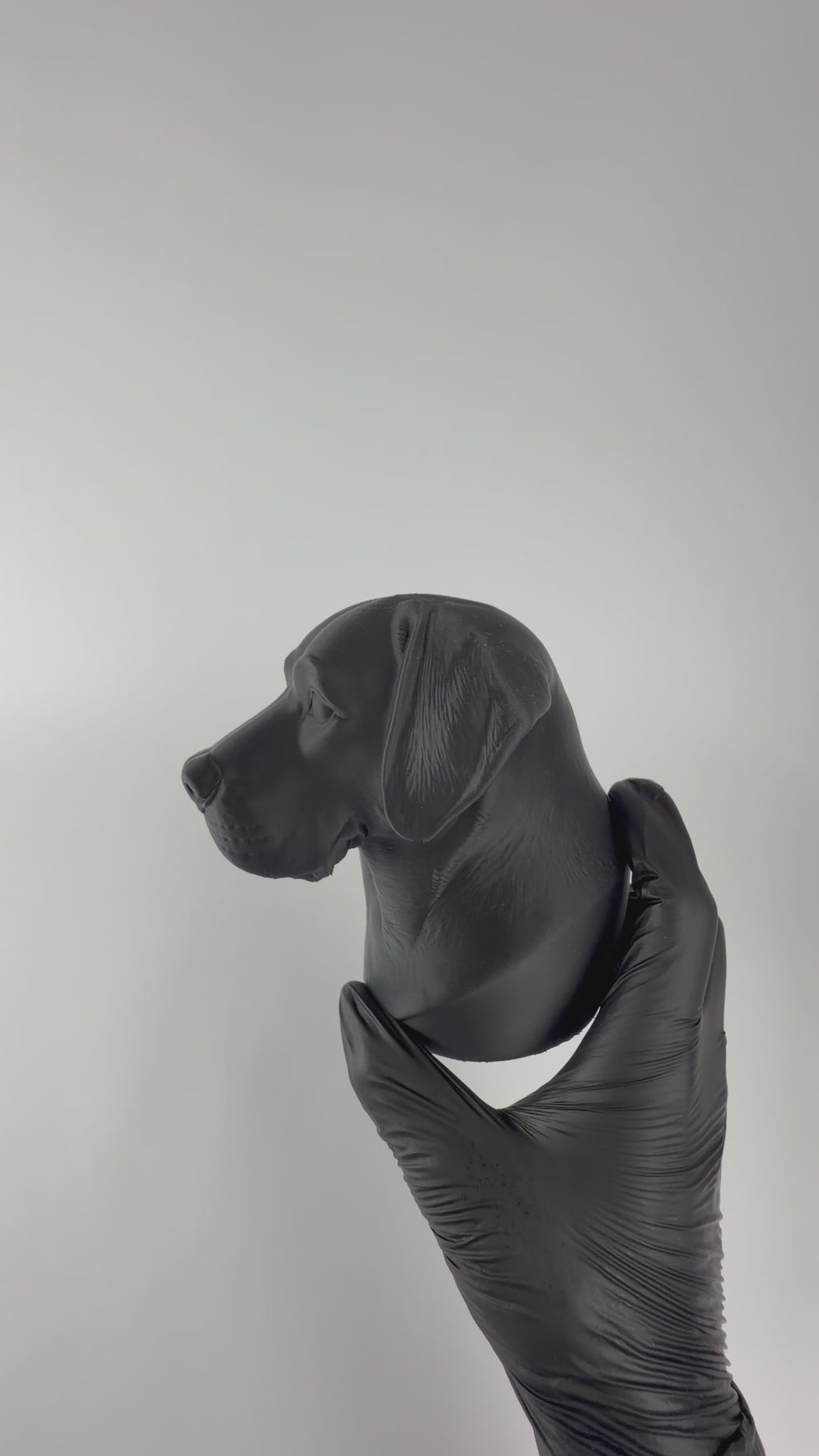 Paint your own - Labrador Bust