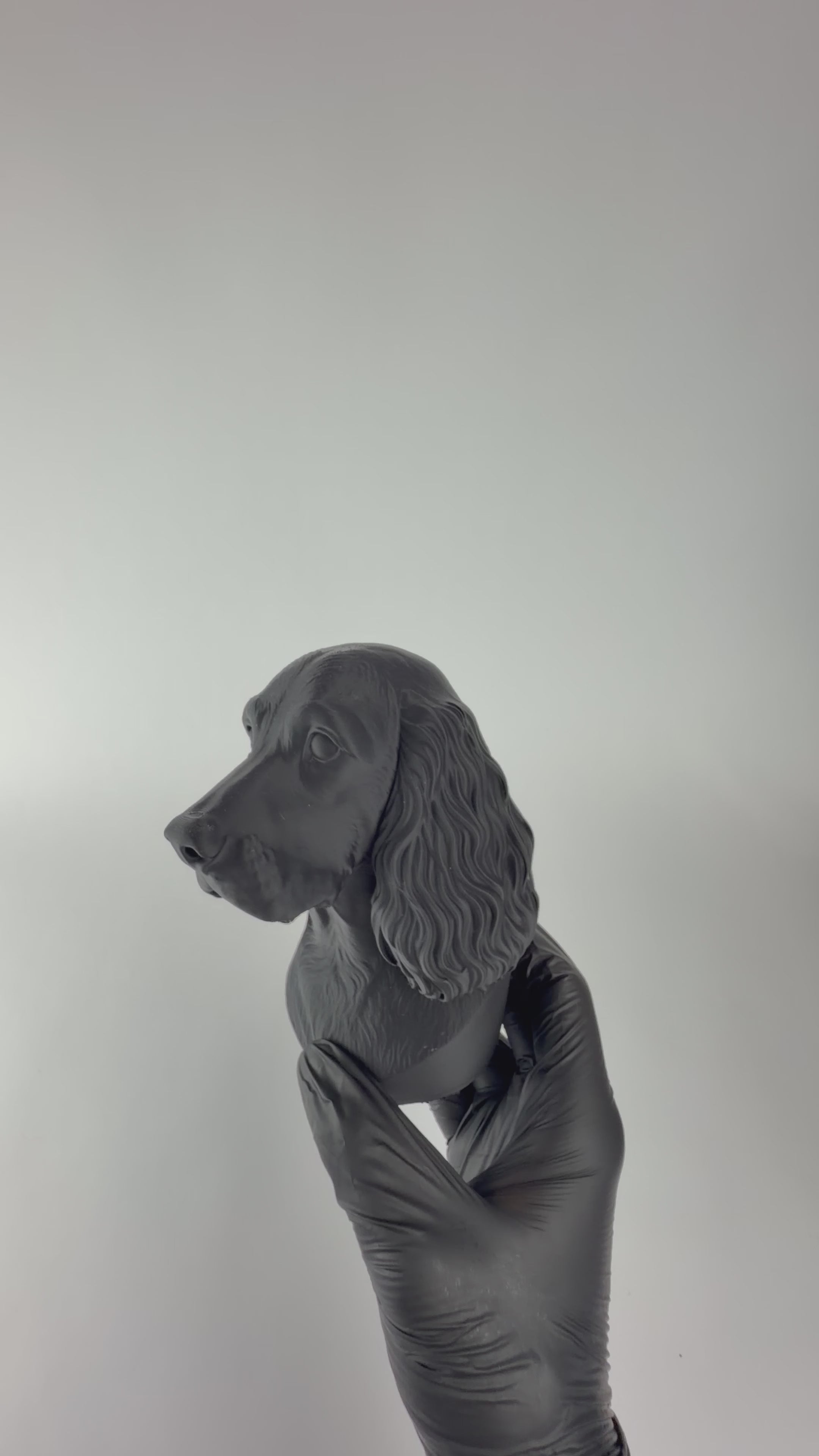 Paint your own - Cocker Spaniel Bust