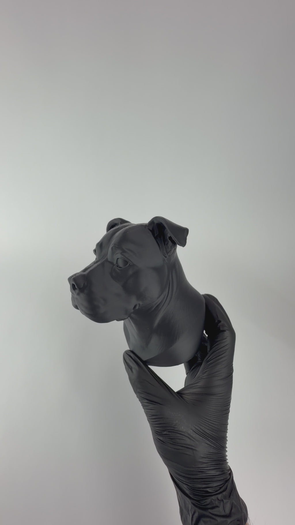 Paint your own - Staffordshire Bull Terrier Bust